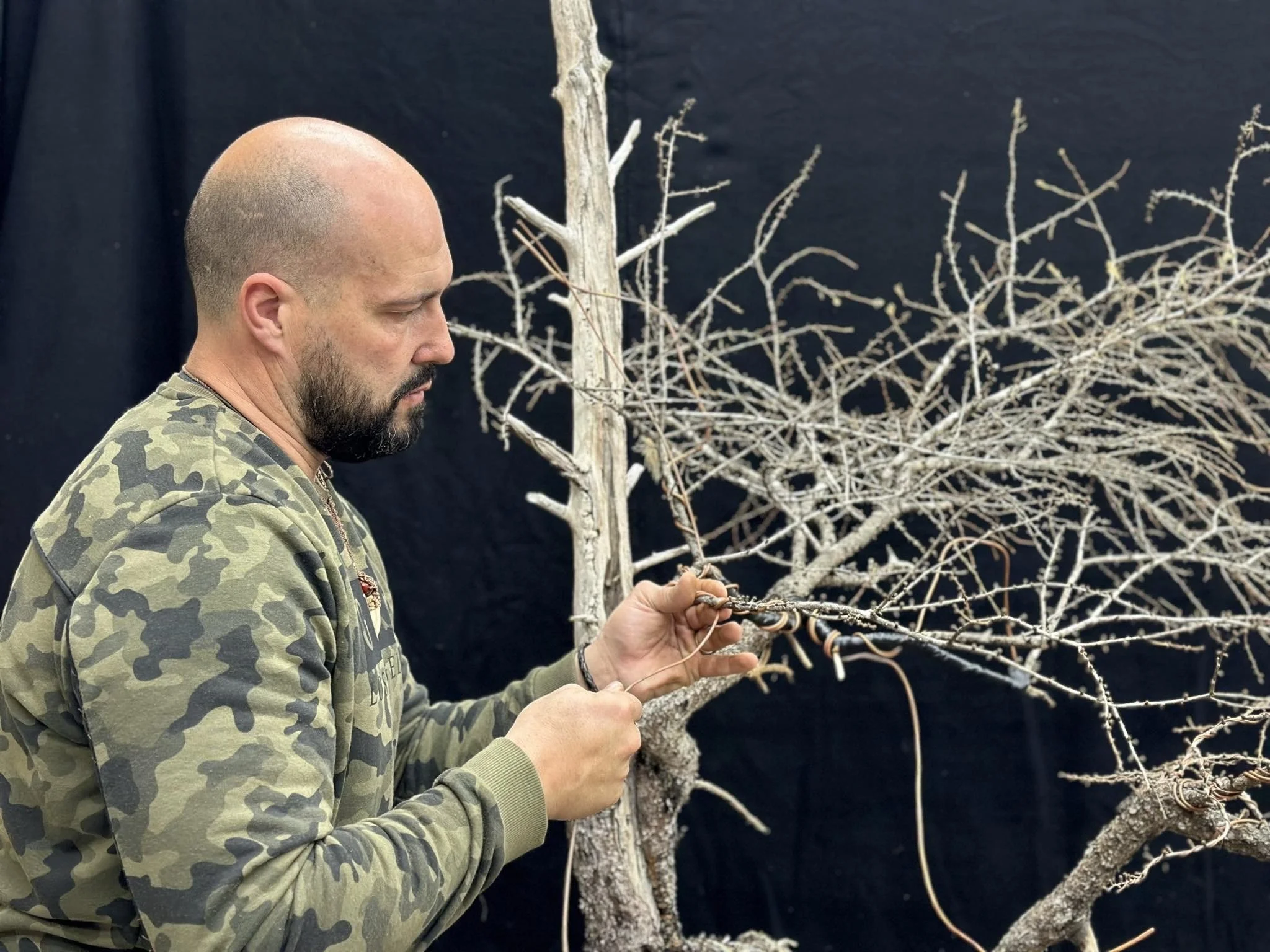 Mauro Stemberger @ Kifu Bonsai.  SMALL GROUP sessions.  Limited Space. 