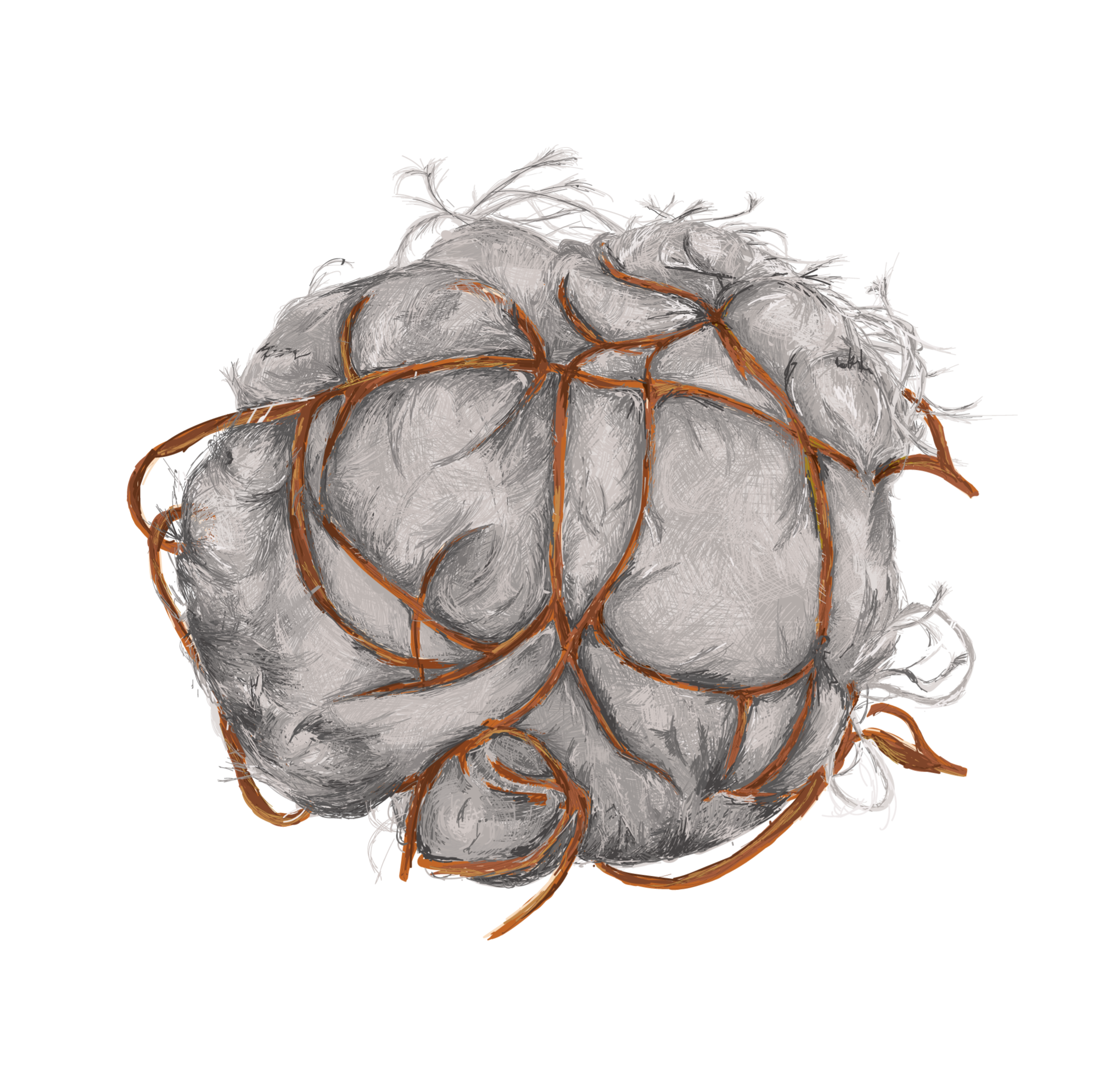 A diverse set of players promoted inclusion and spoke to everyone