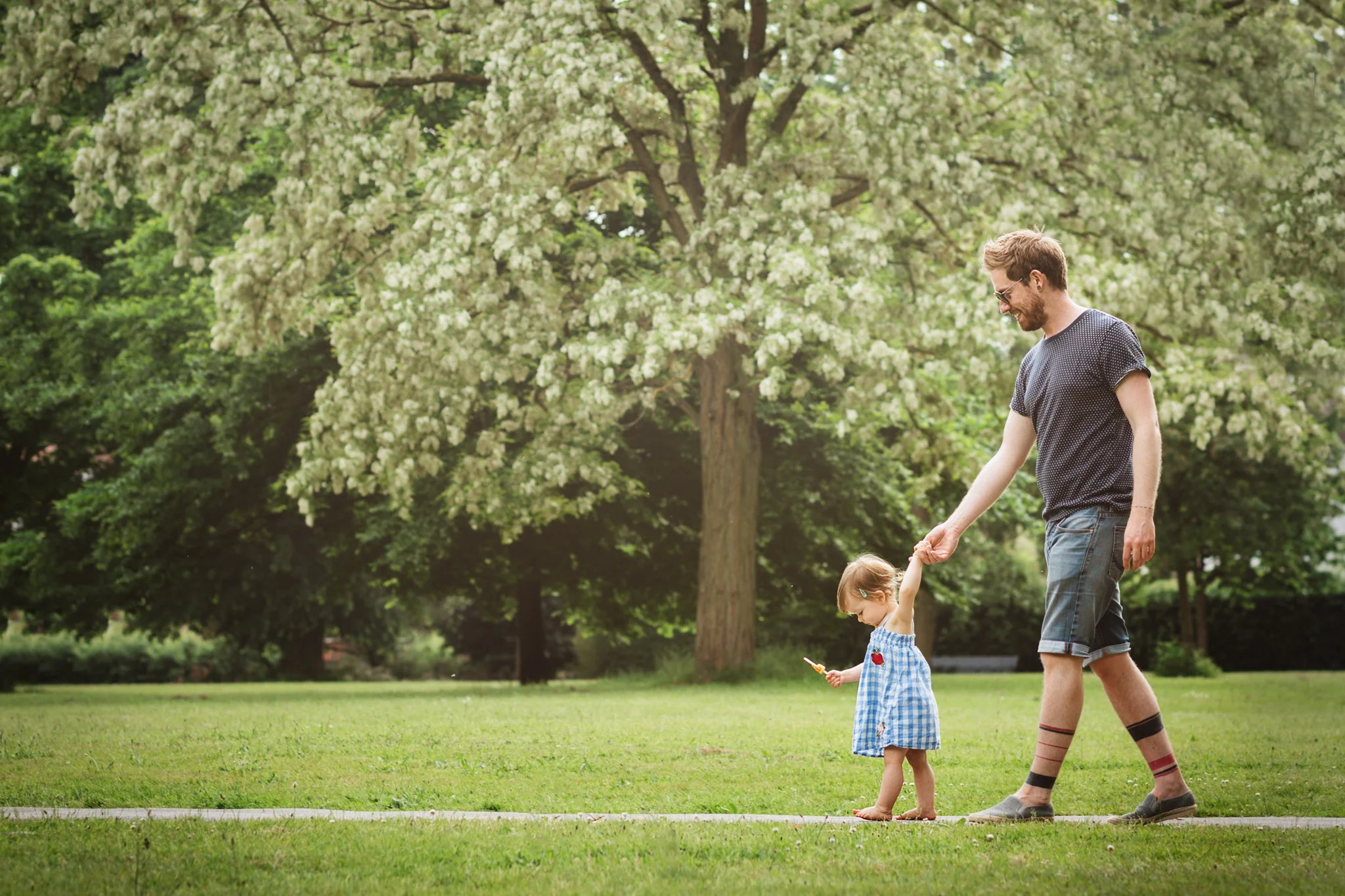 Use the “Big Camera”