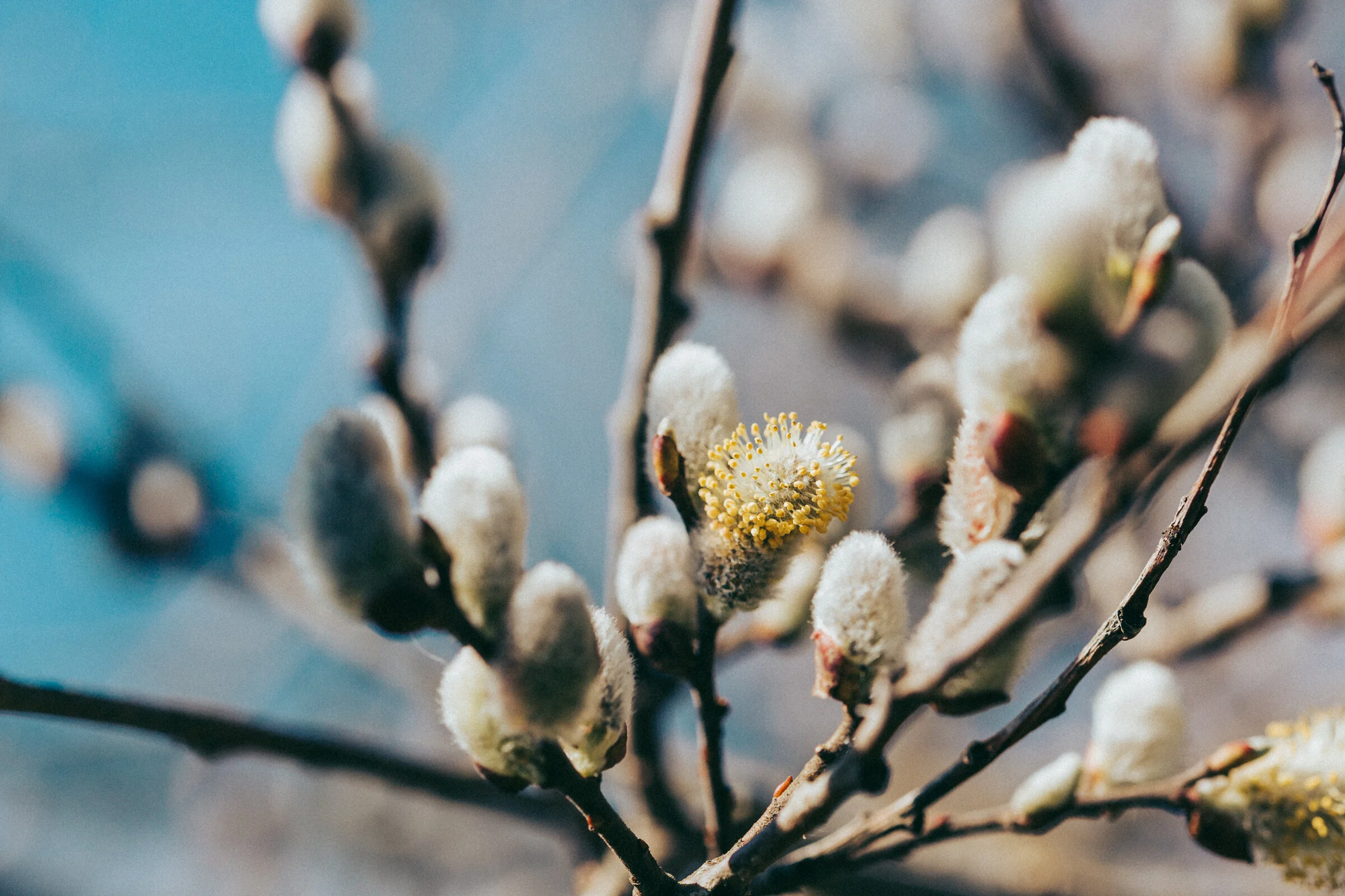 GRIEVING YOUR BUSINESS BABY