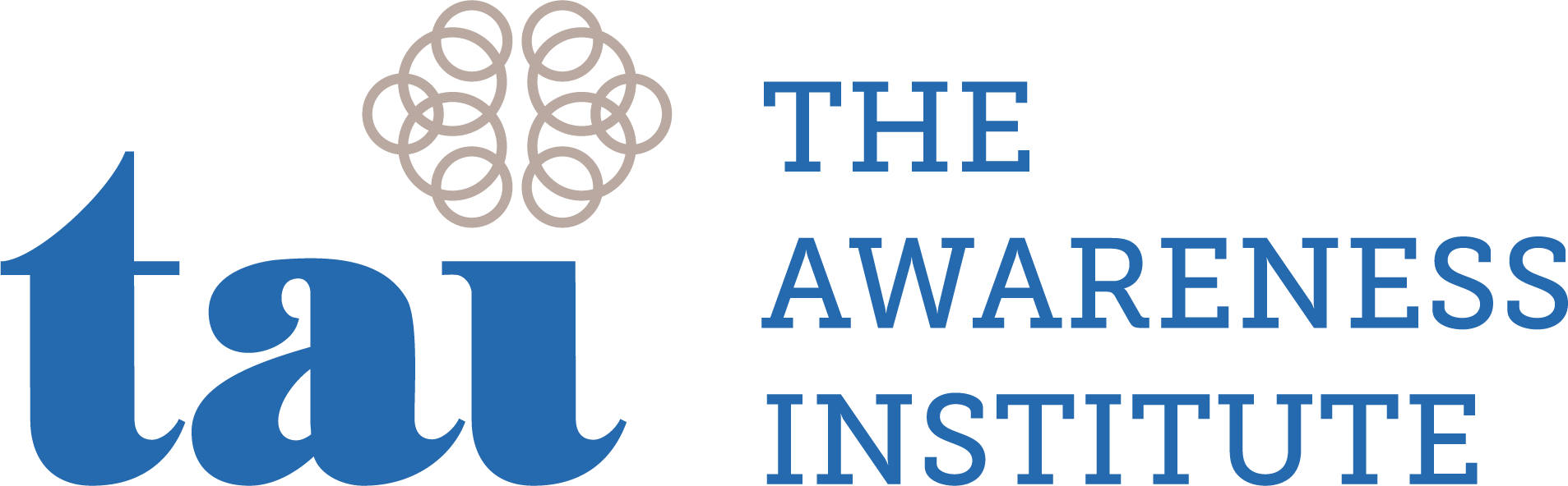 The Awareness Institute