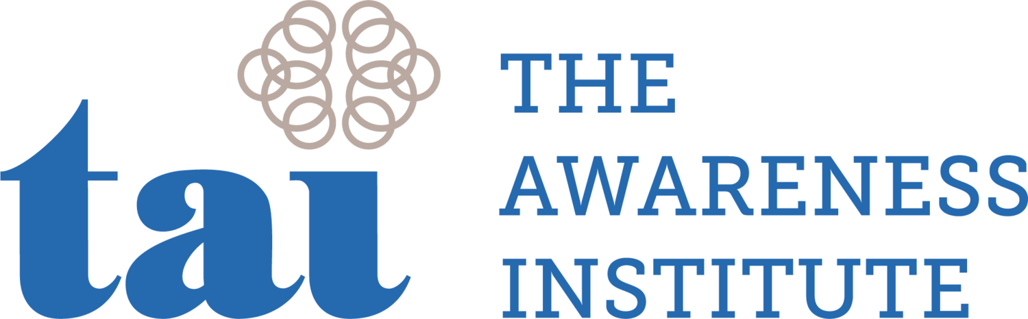 The Awareness Institute