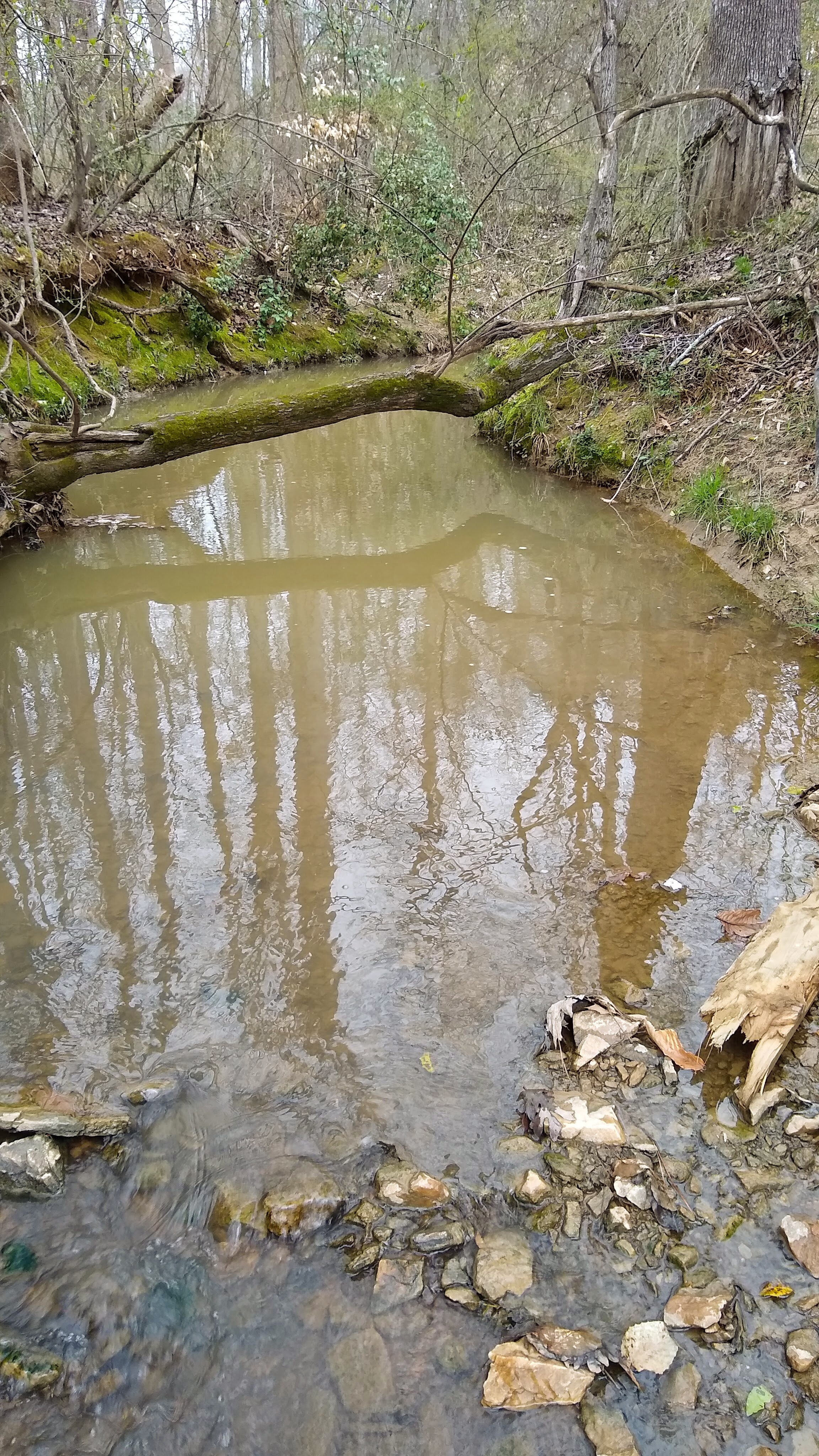 Field site 2 upstream.jpg