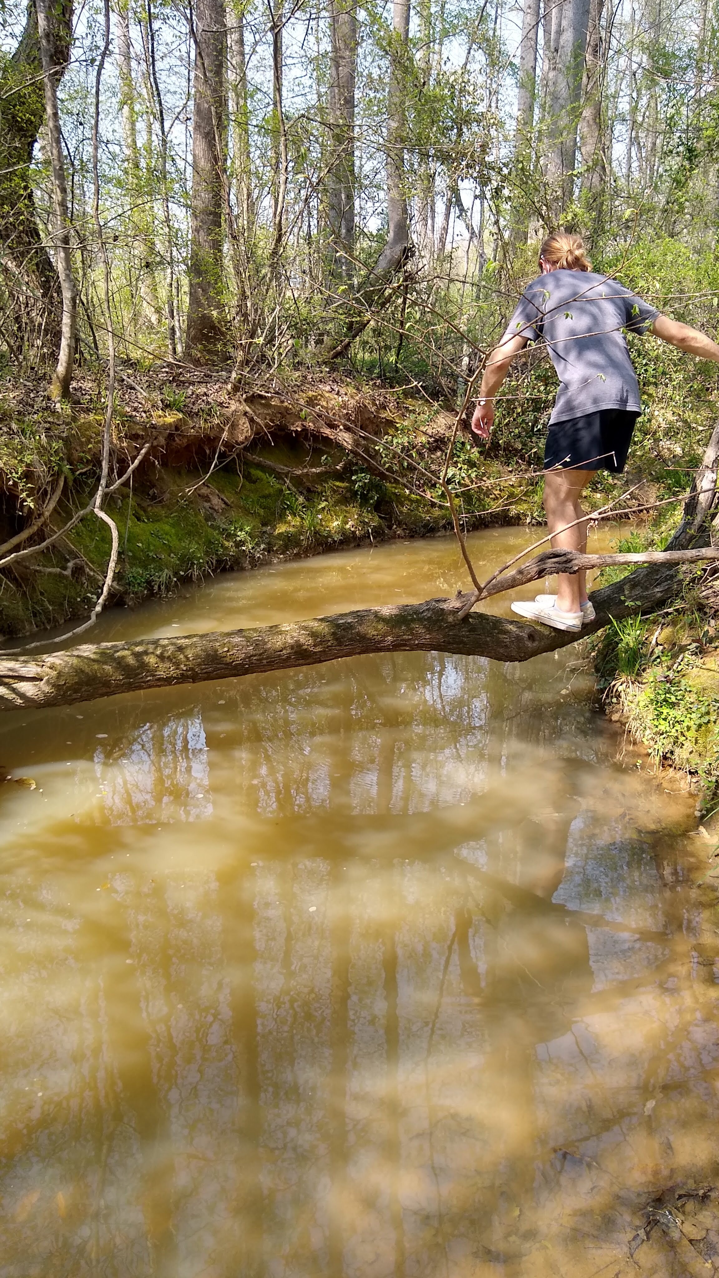 Kaleb crossing on the log_1.jpg