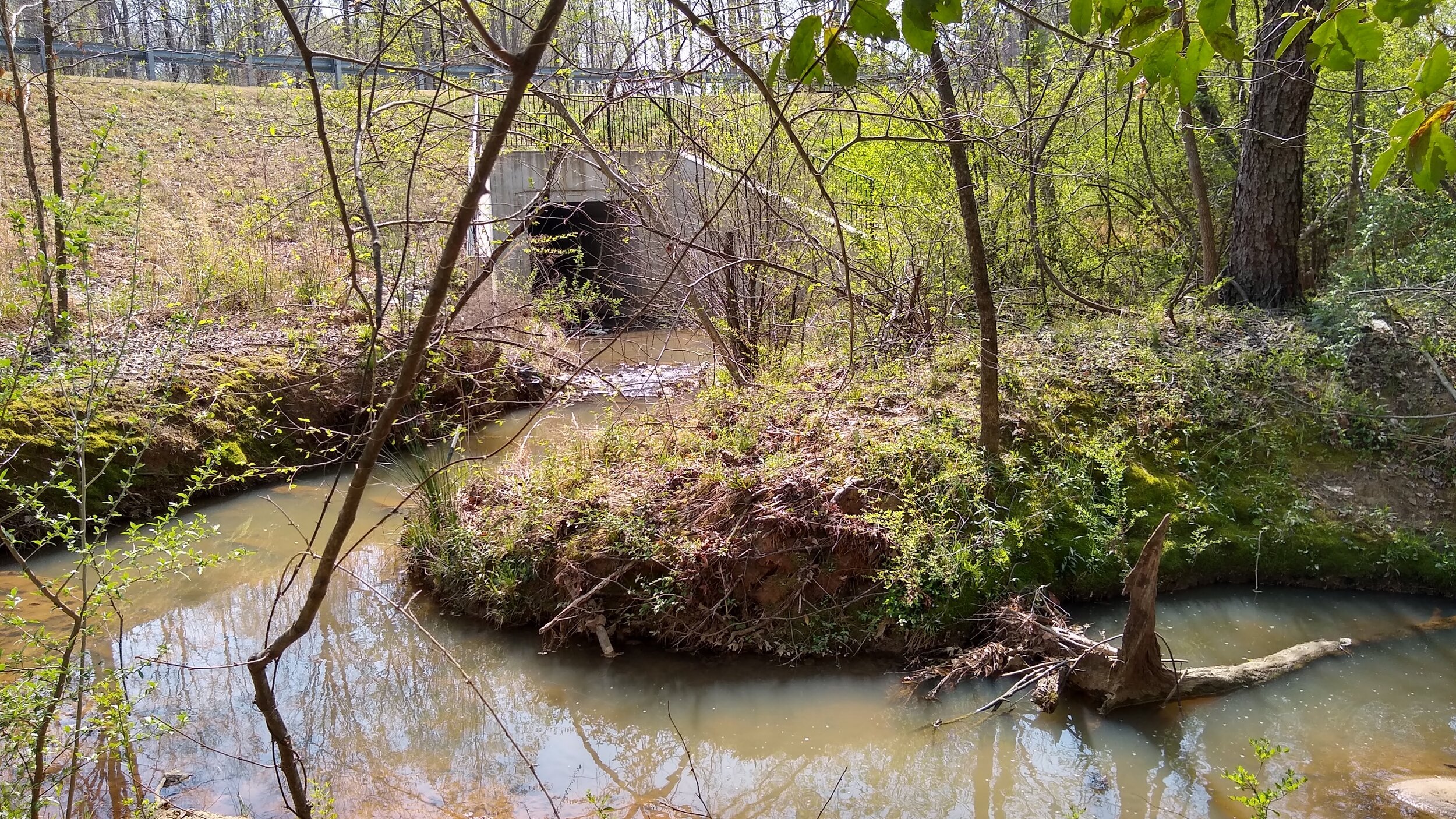 The stream upstream of the culvert.jpg