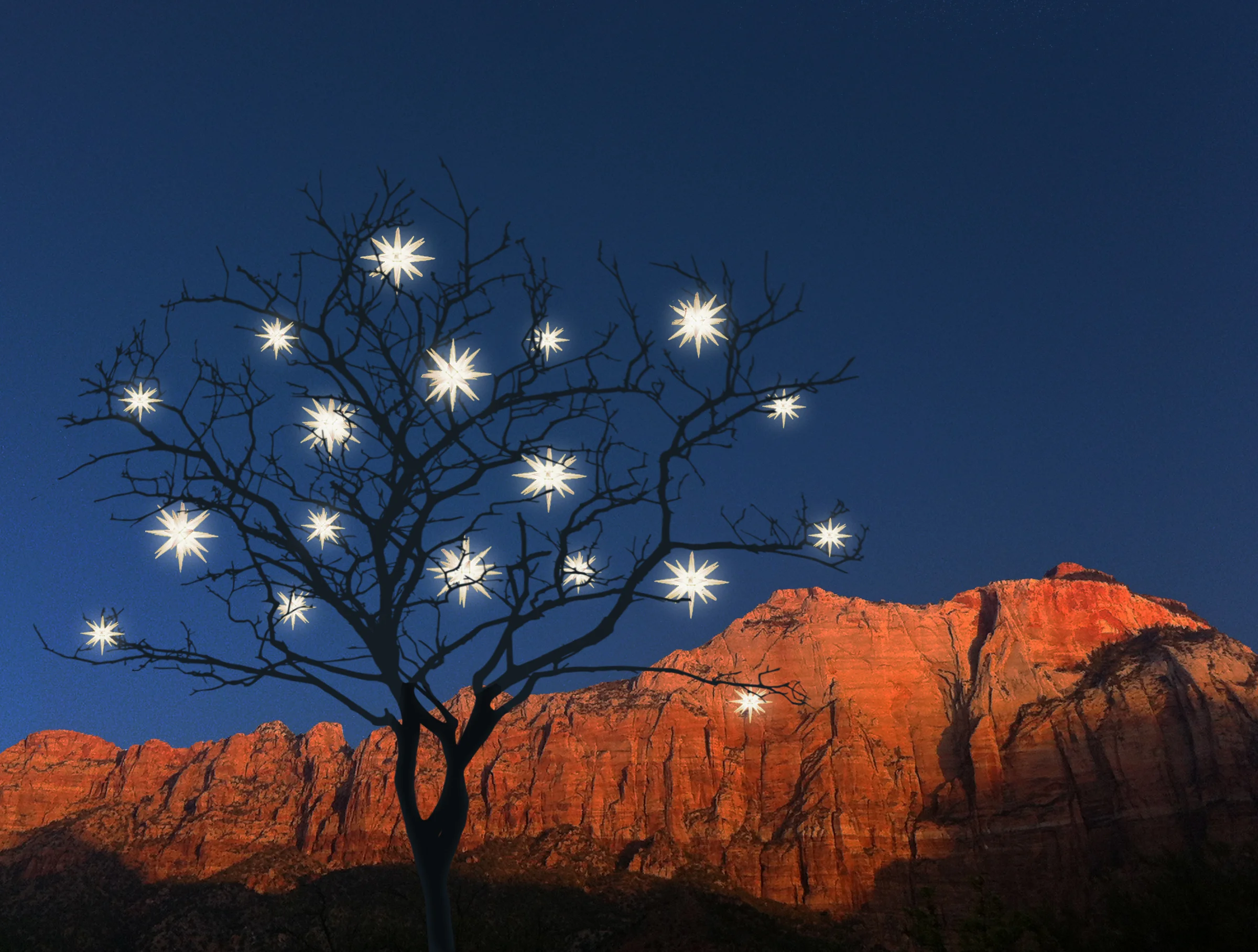 PRIVATE CLIENT: "Desert Starlight" Tree, Utah