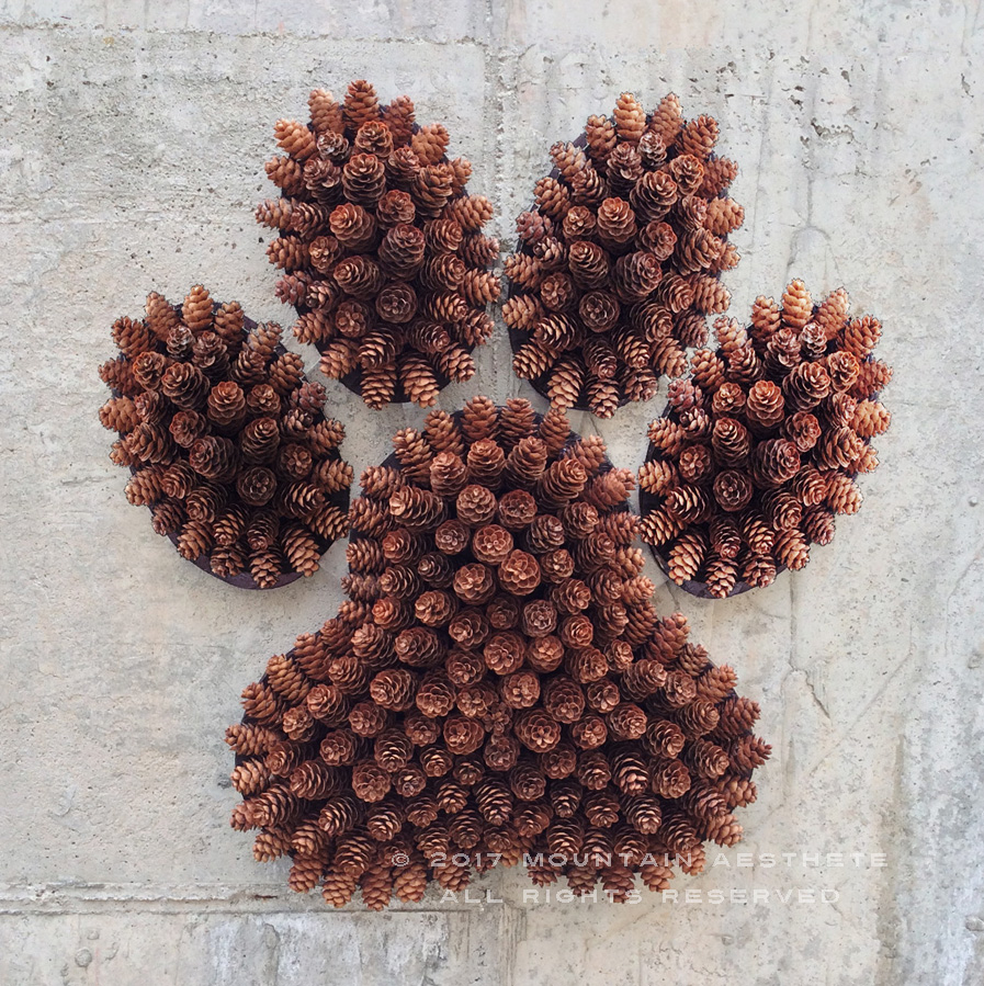 PINECONE PAW