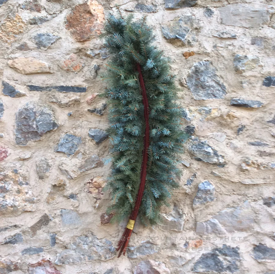 FEATHER