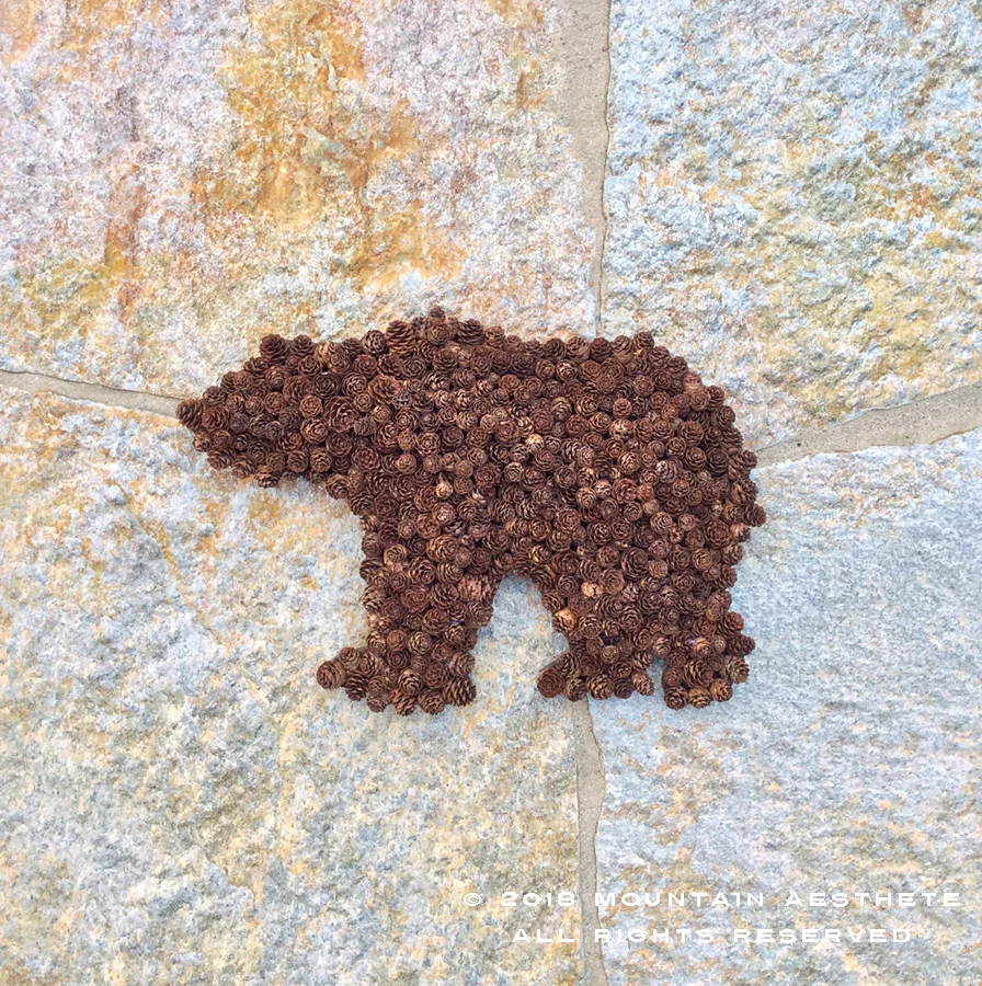 PINECONE BEAR CUB