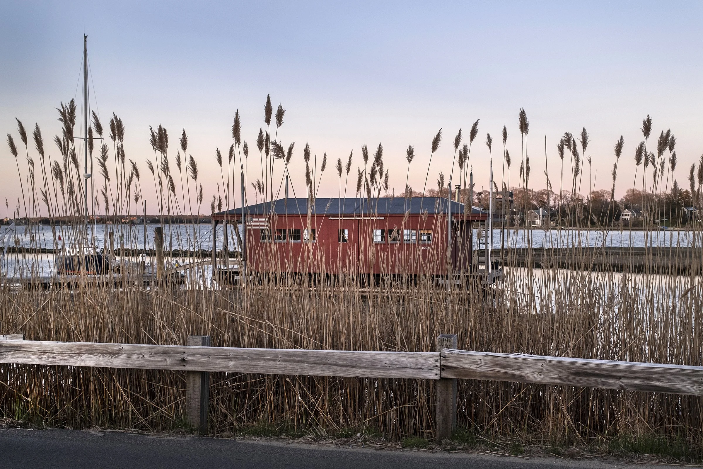 Tall Grass, Lagoon Pond