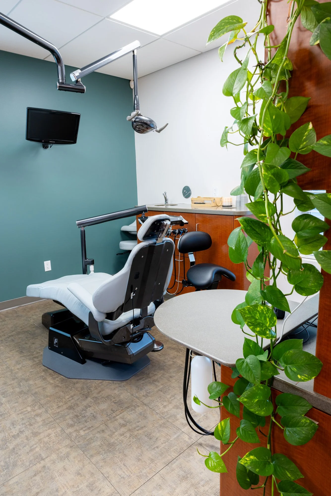An interior view of a dental examination room featuring a dental chair, overhead dental light, small flat-screen monitor on the wall, a counter with dental supplies, and a large green plant climbing along a wooden divider, Beyond Your Smile.