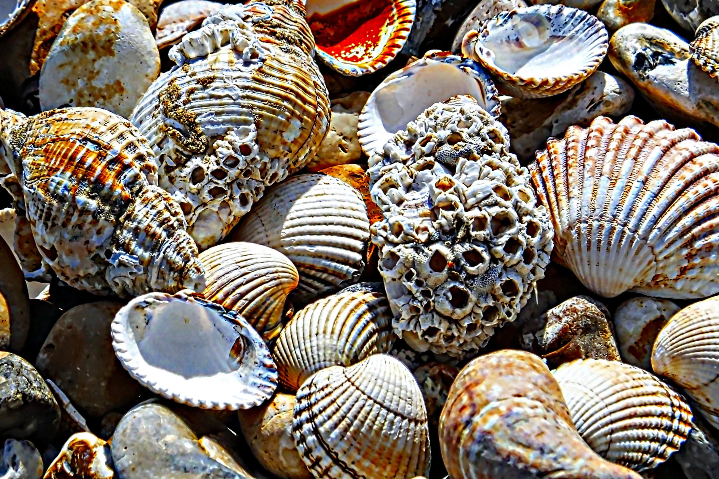Beyond the shell