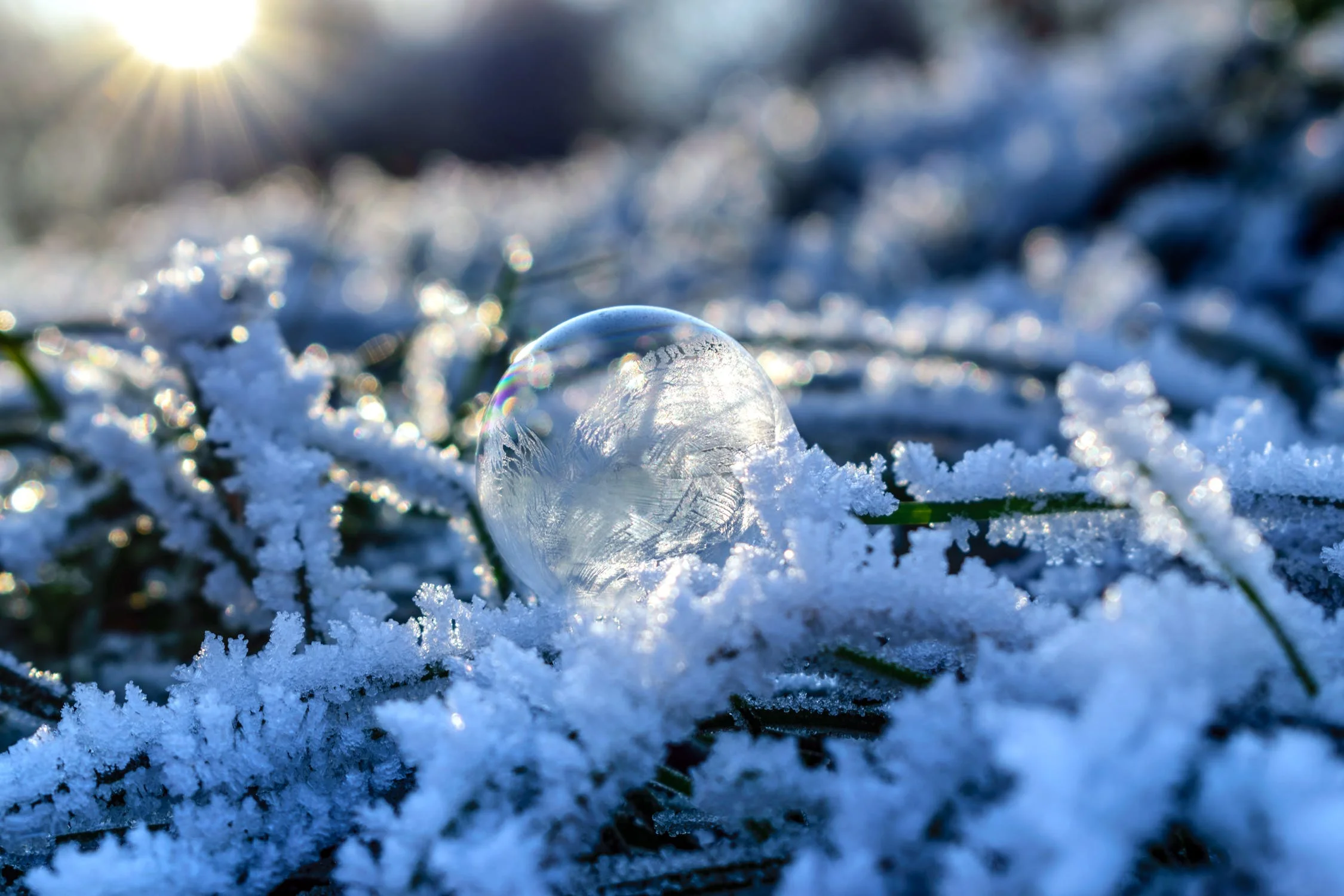 Snowflakes by the sea