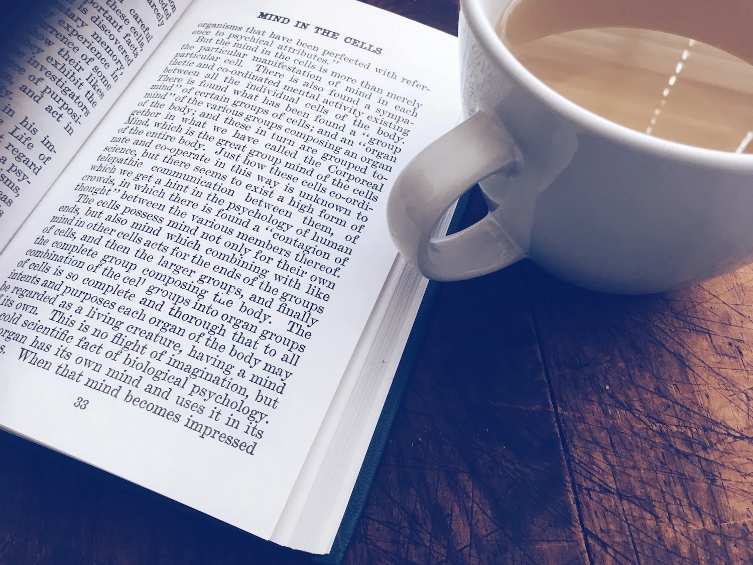 Morning Tips: Smoothing Yourself Out At The Top of Your Day (Establishing Yourself)