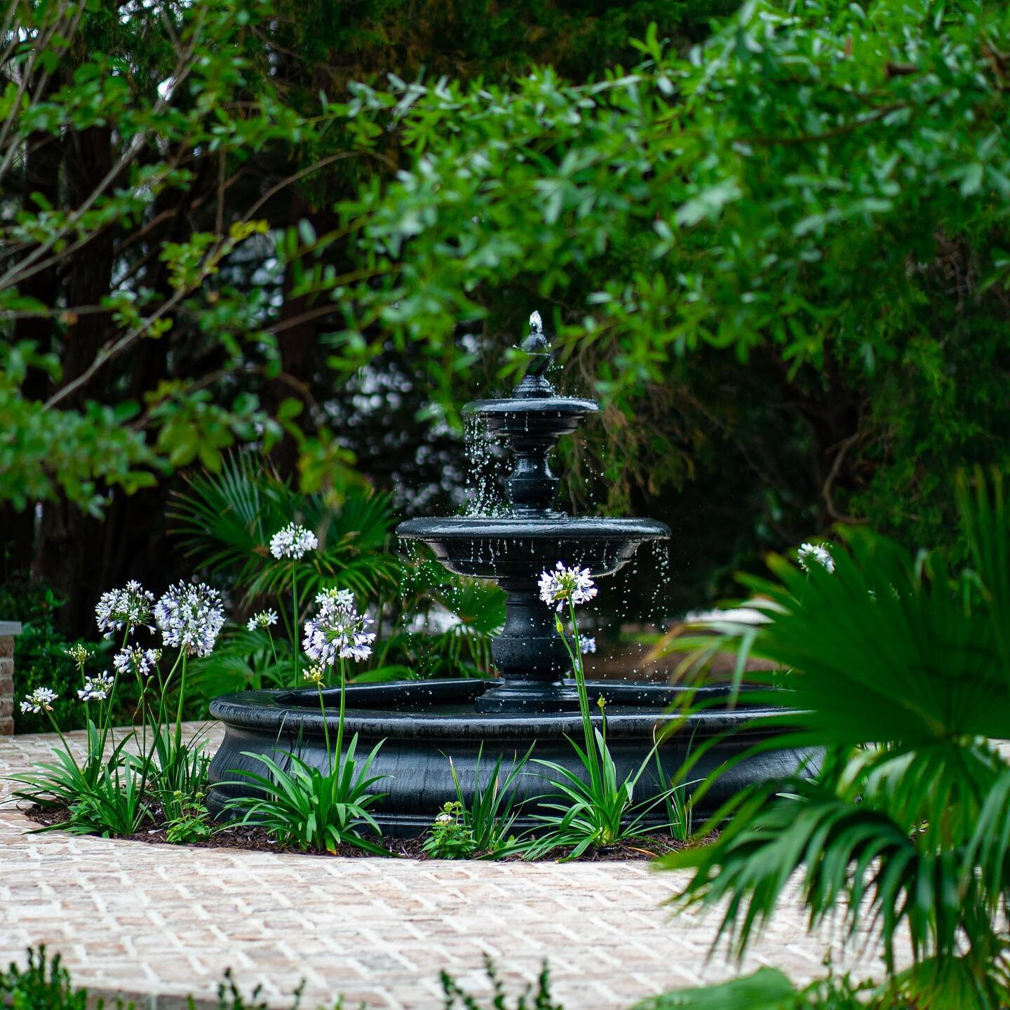 This was a really special project for me.  My client @tgraysoncaprio came to me with an idea to honor her late mother, Ruthie, with a traditional Charleston style garden.  All of the plants selected will flower white and we incorporated some of Ruthi