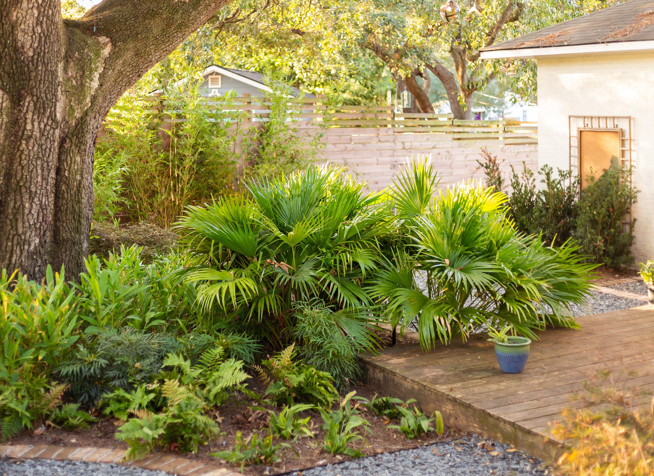 CharlestonLandscape_1157RickeySt_Win25_KellyParrish-21.jpg