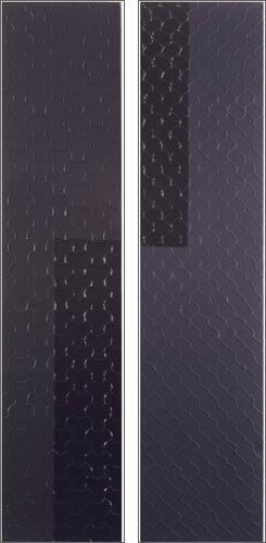 Black Towers