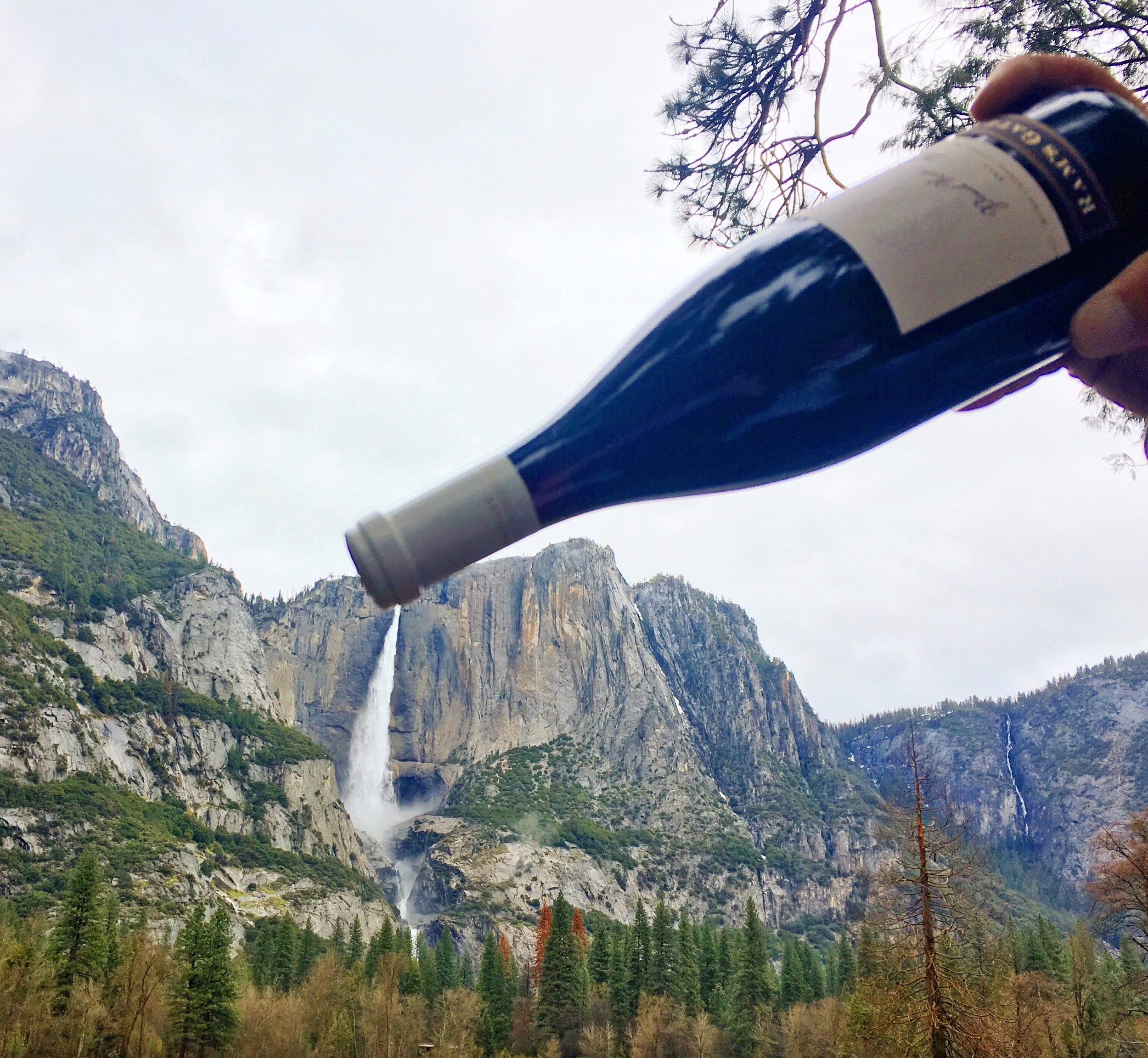 Chasing waterfalls with a bottle of Pinot.