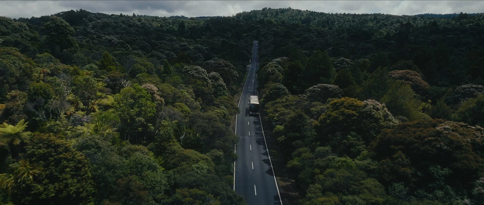 Atlantis x The All Black's