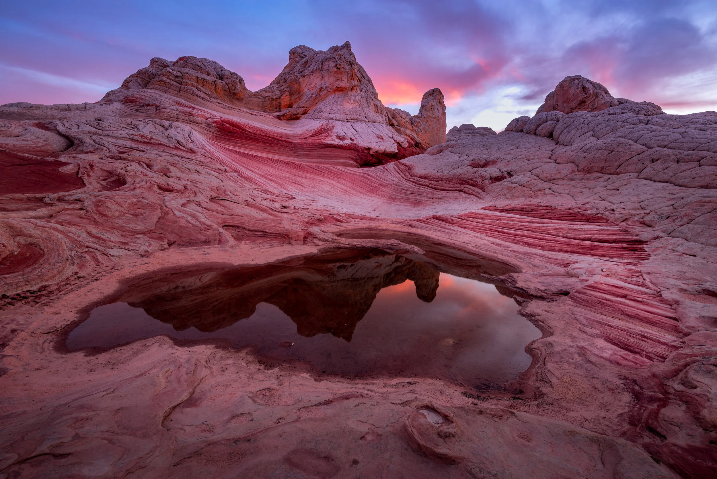 _SNY5494-Edit.jpg