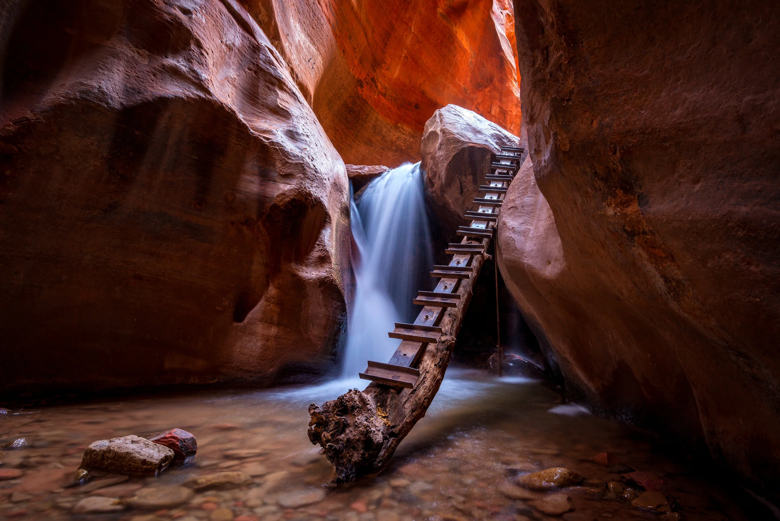 _SNY6629-Edit.jpg