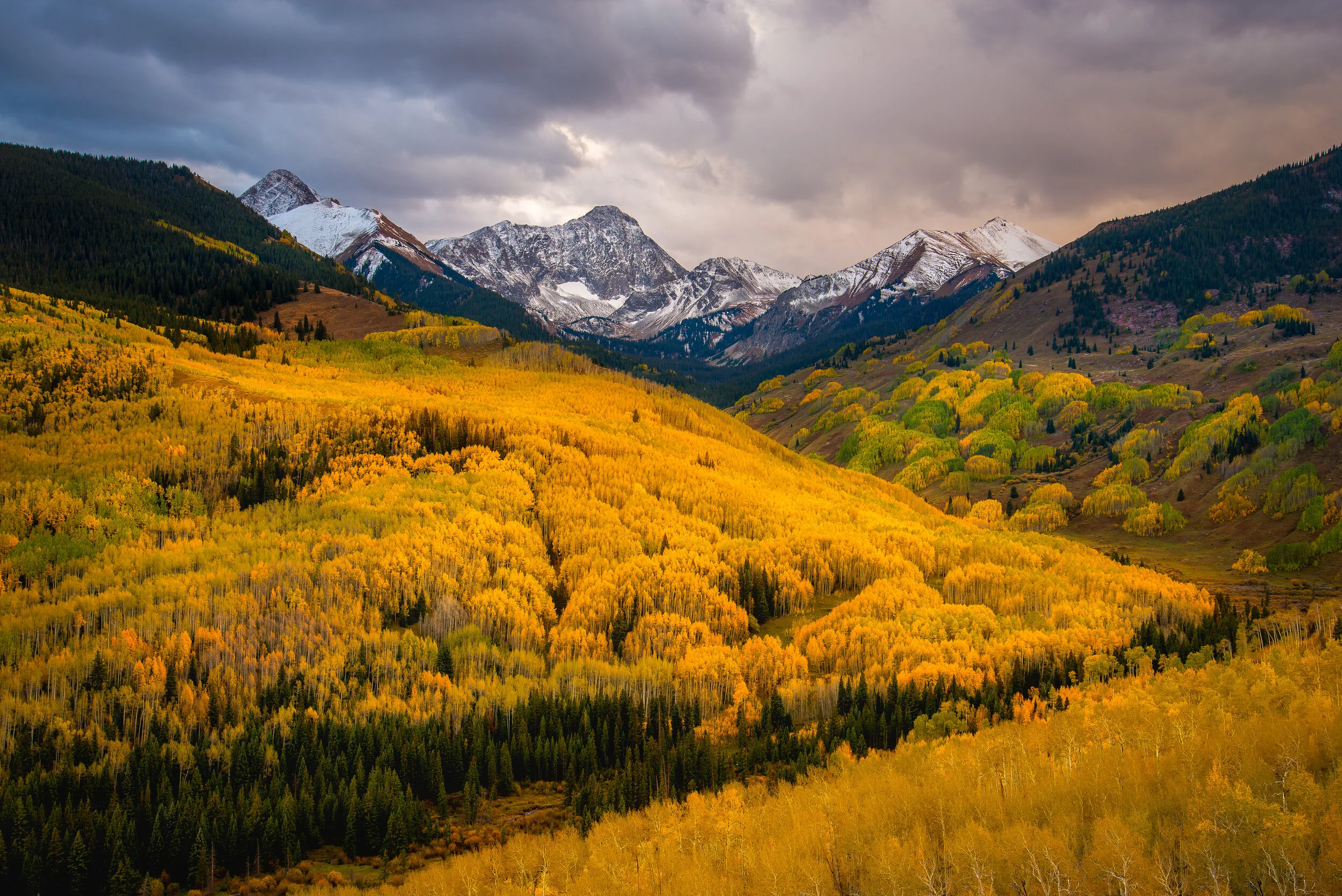 _SNY6717-Edit (reduced).jpg