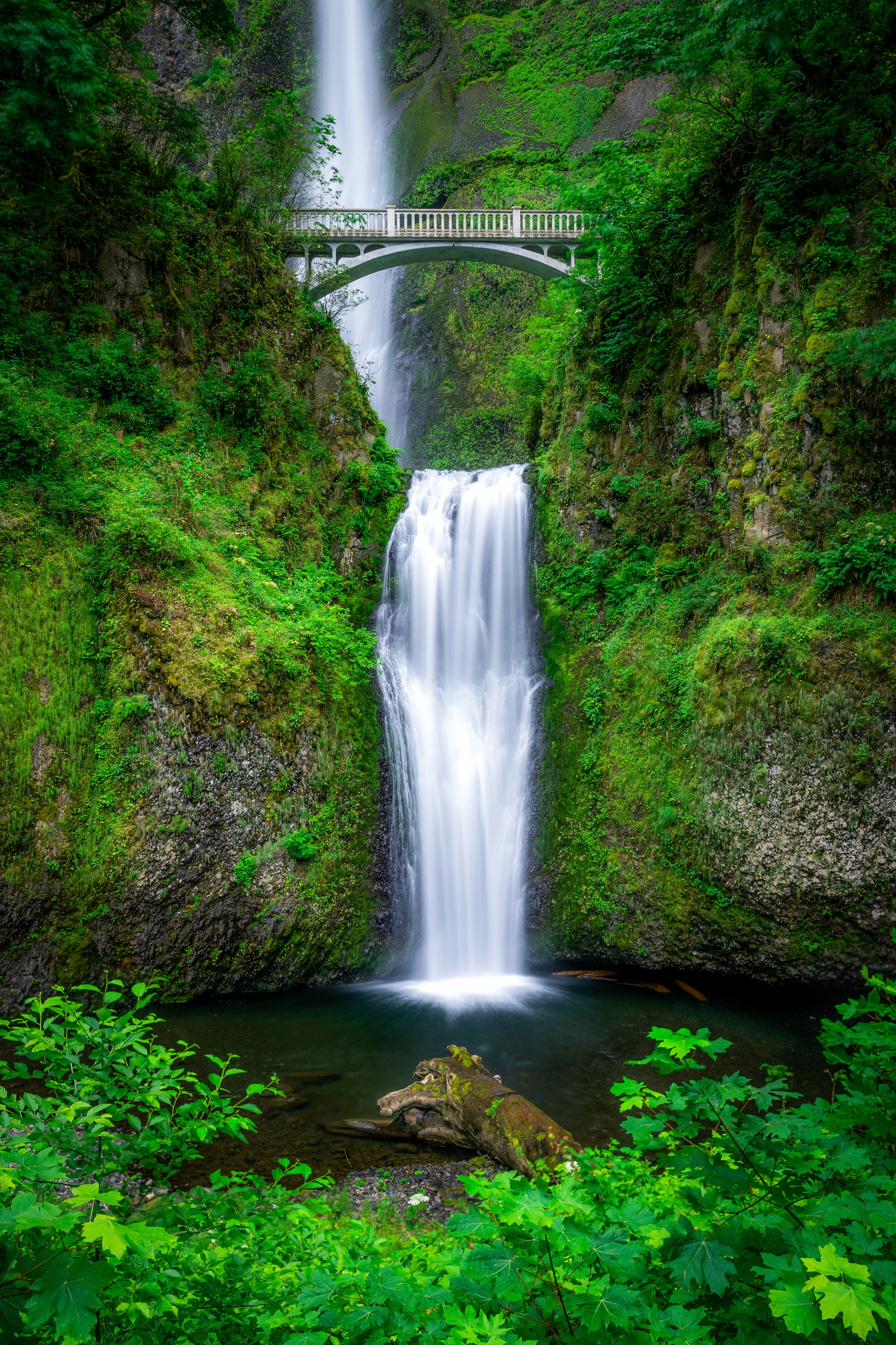 _SNY2941-Edit-2 (reduced).jpg