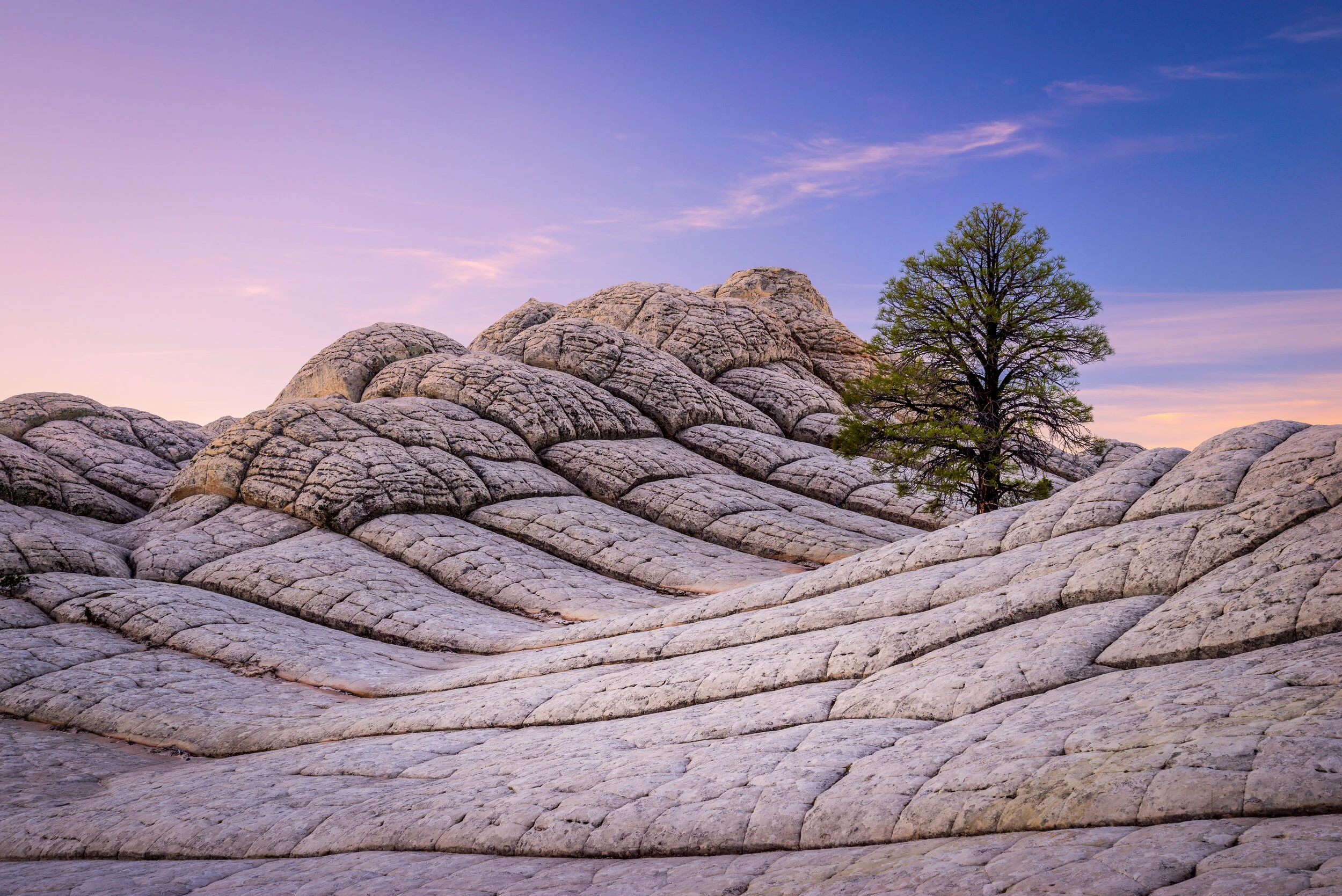 _SNY5695-Edit (reduced).jpg