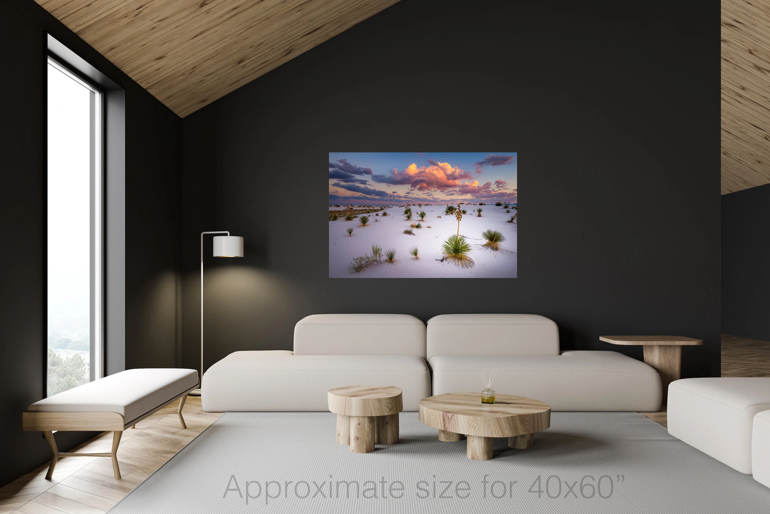 Yucca land 40x60.jpg