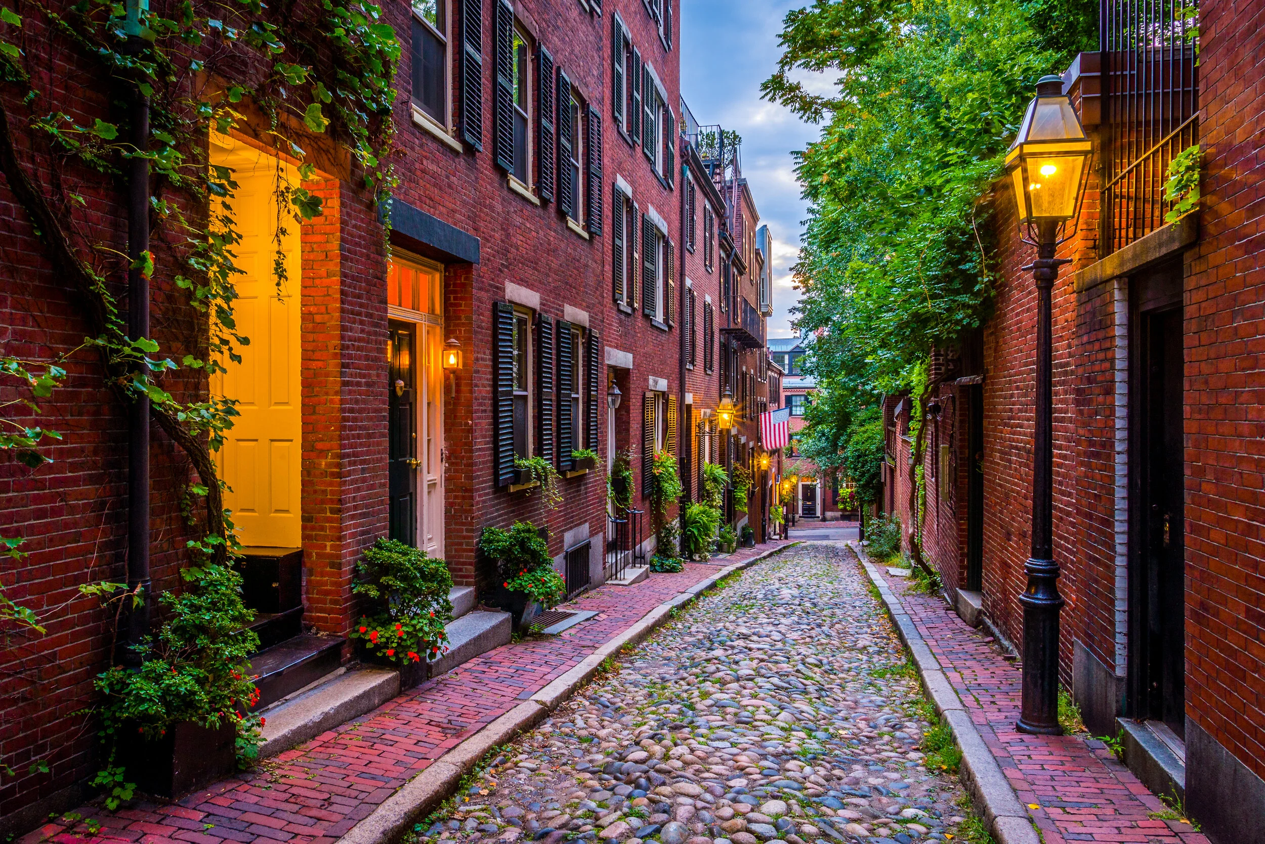 _DSC2890-Edit (reduced).jpg