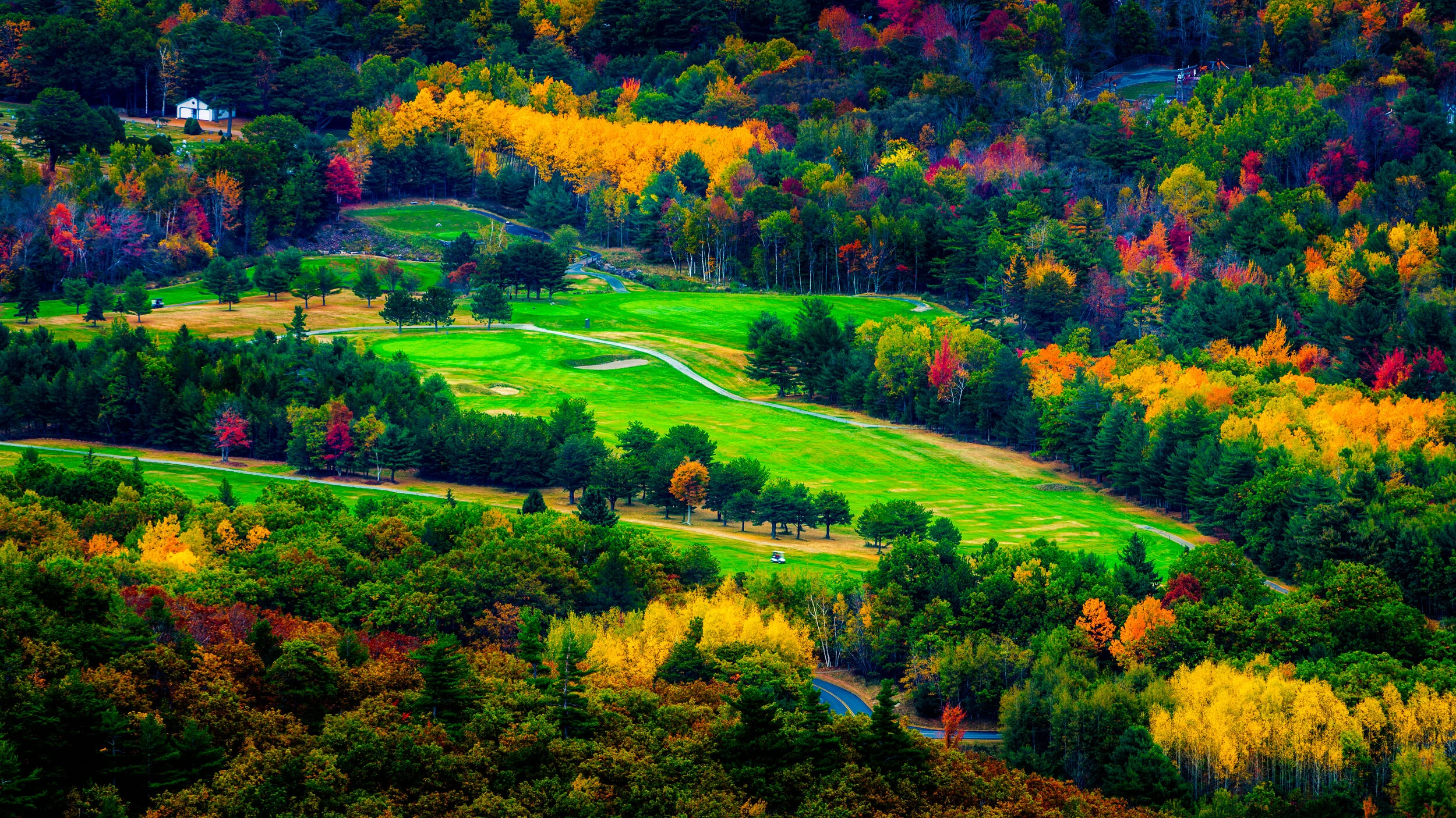 _DSC5593-Edit-2-Edit (small).jpg