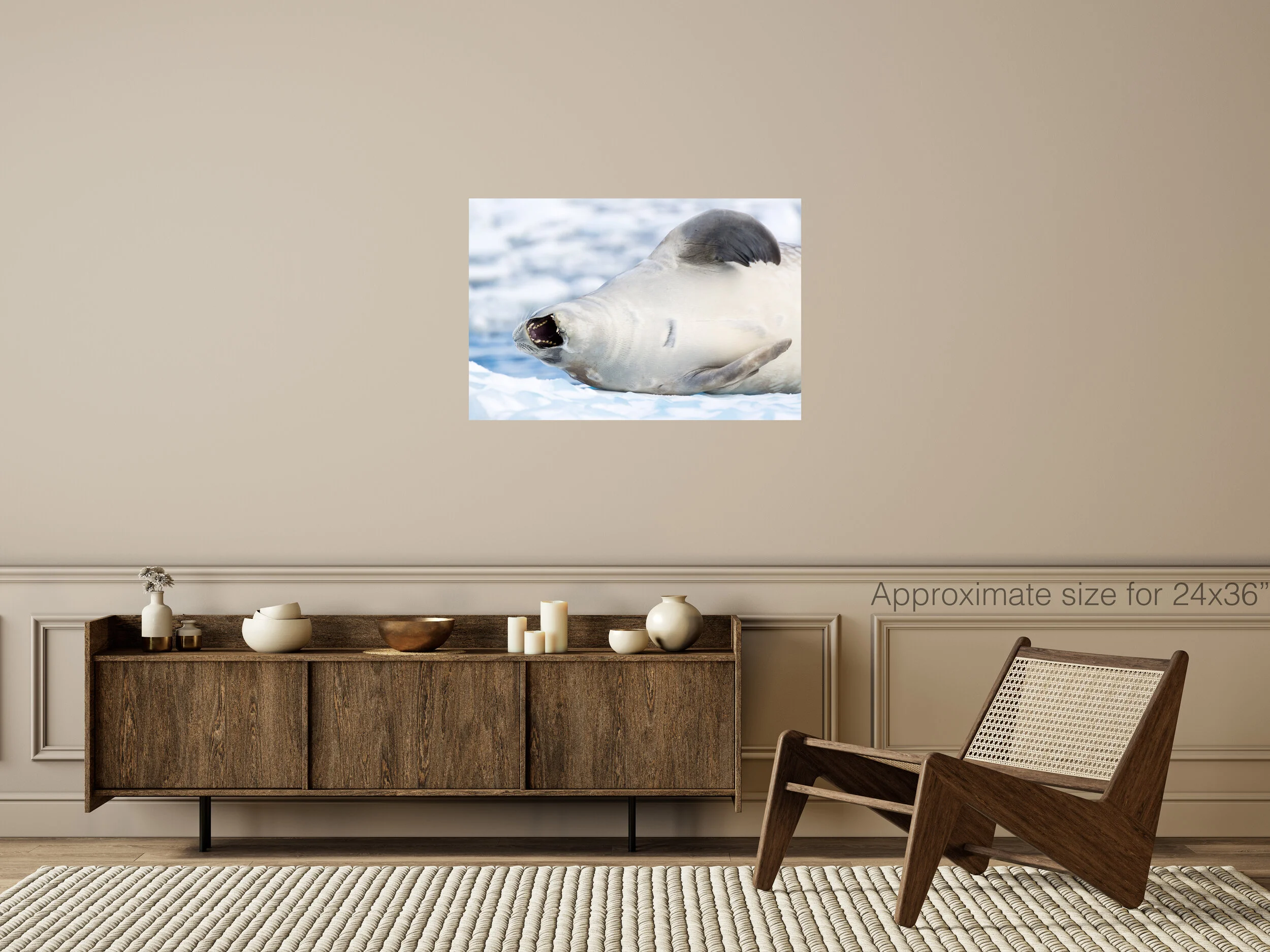 Weddell Seal 24x36.jpg