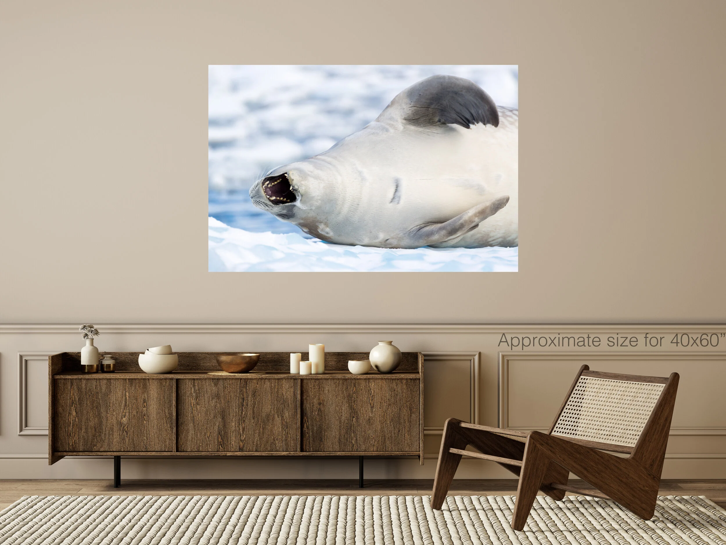 Weddell Seal 40x60.jpg