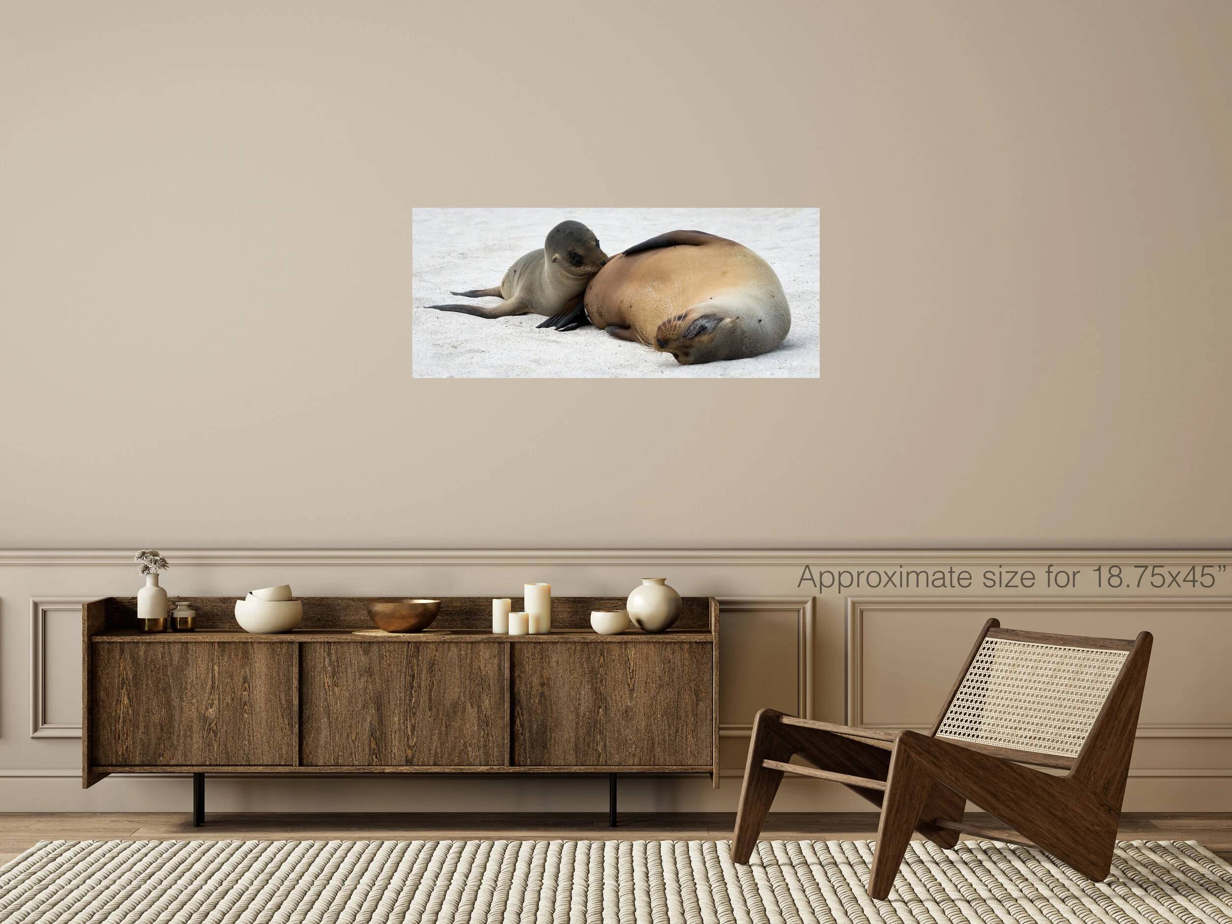 Sea lion feed 30x45.jpg