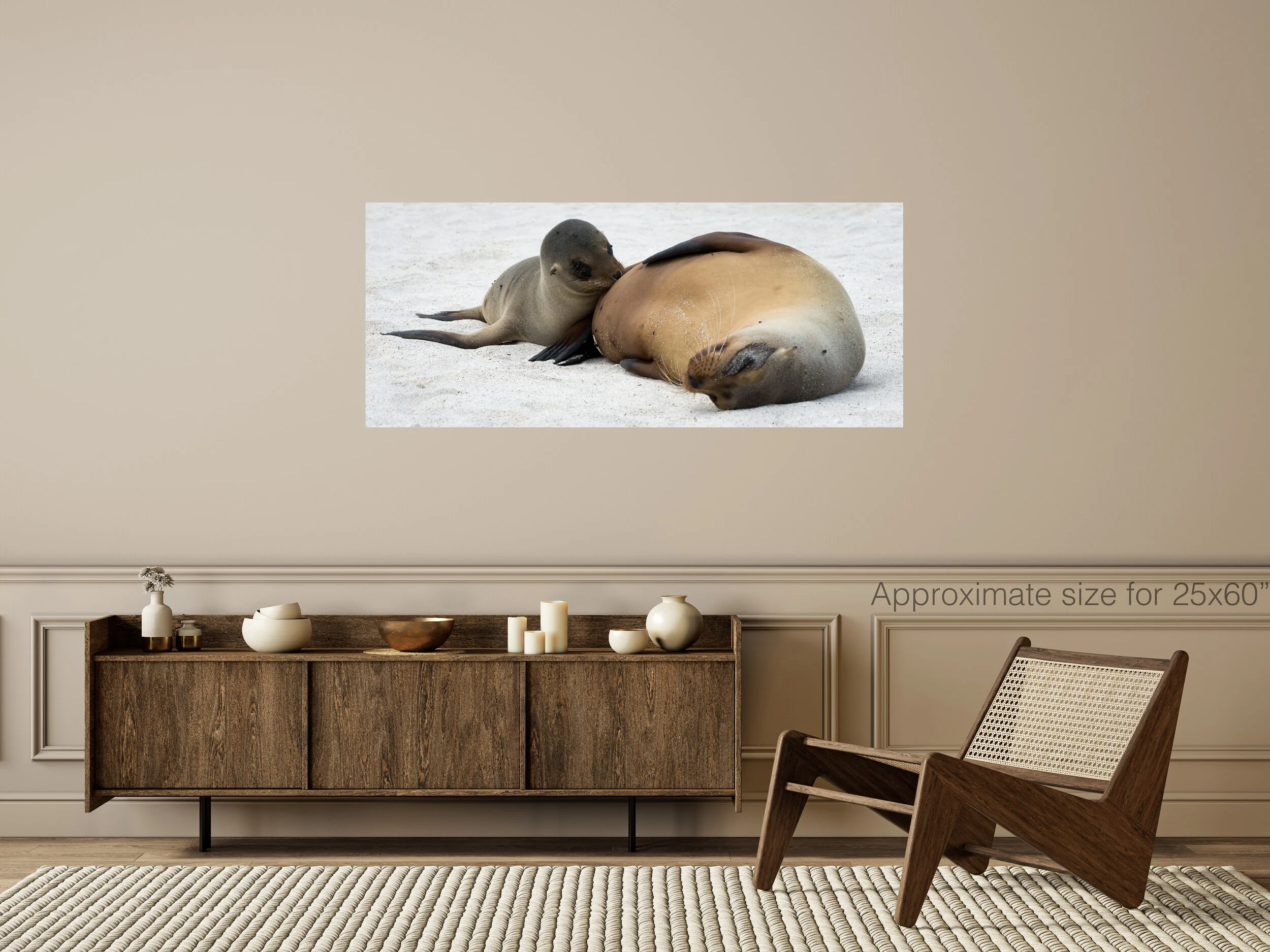 Sea lion feed 40x60.jpg