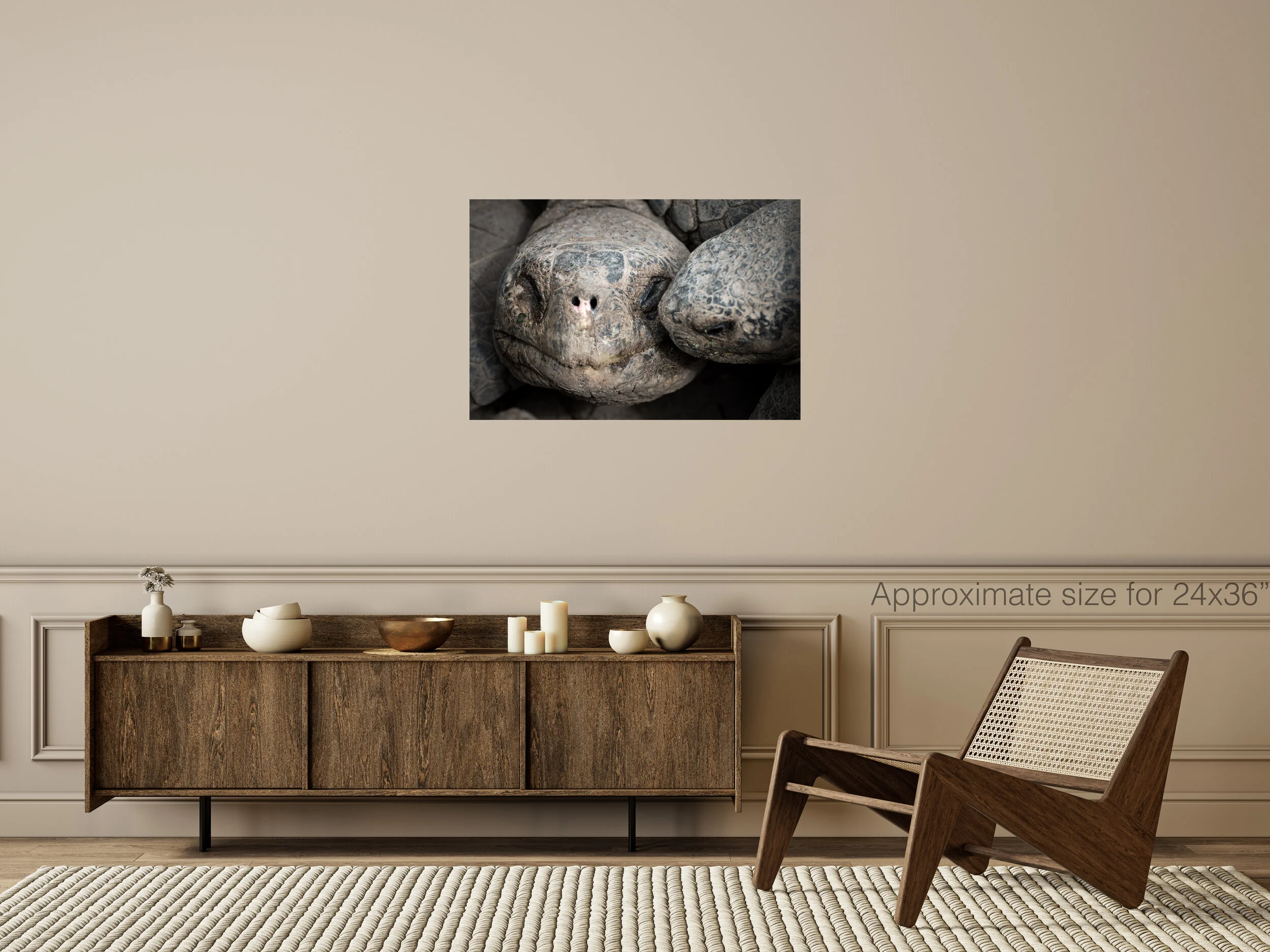 Turtles 24x36.jpg