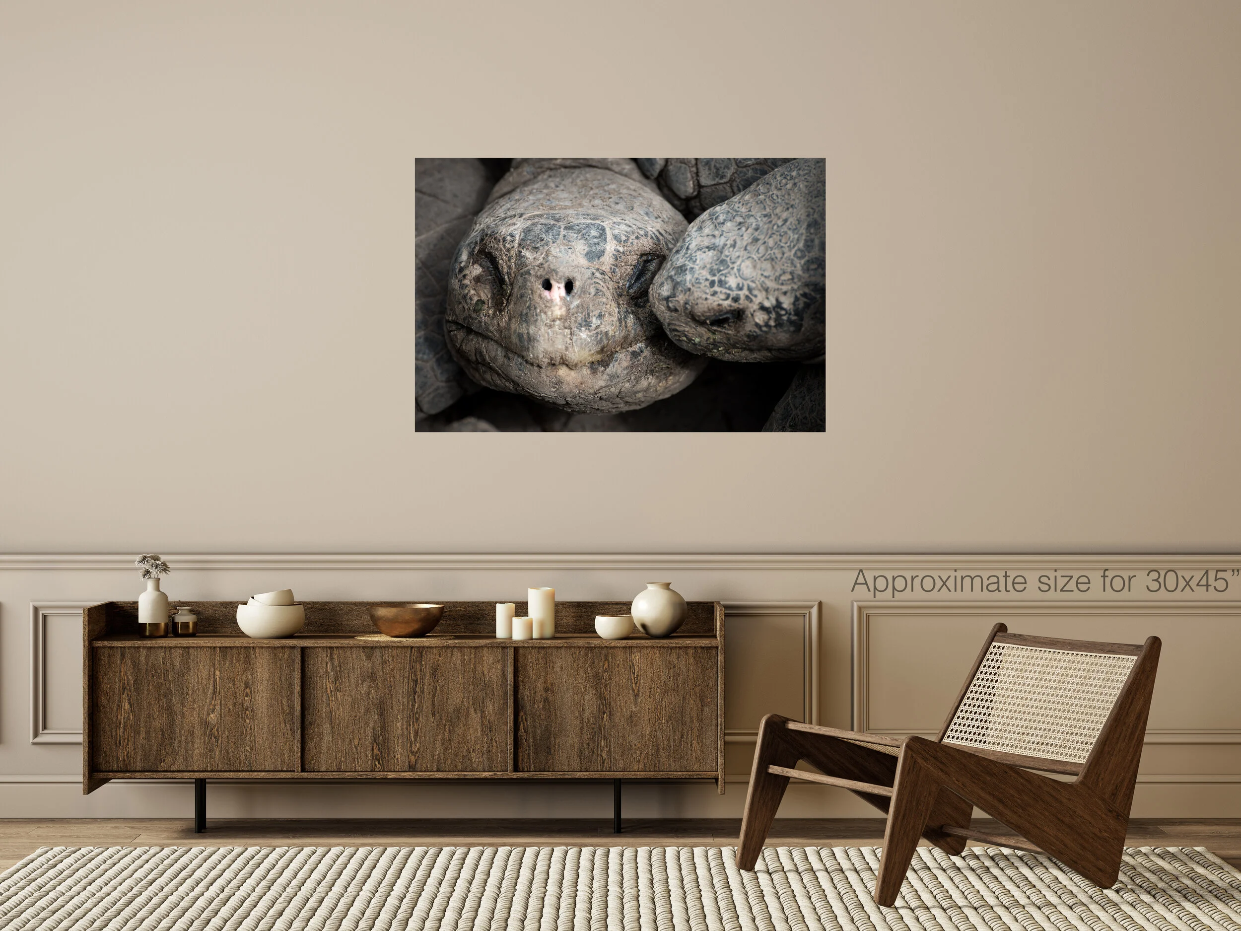 Turtles 30x45.jpg