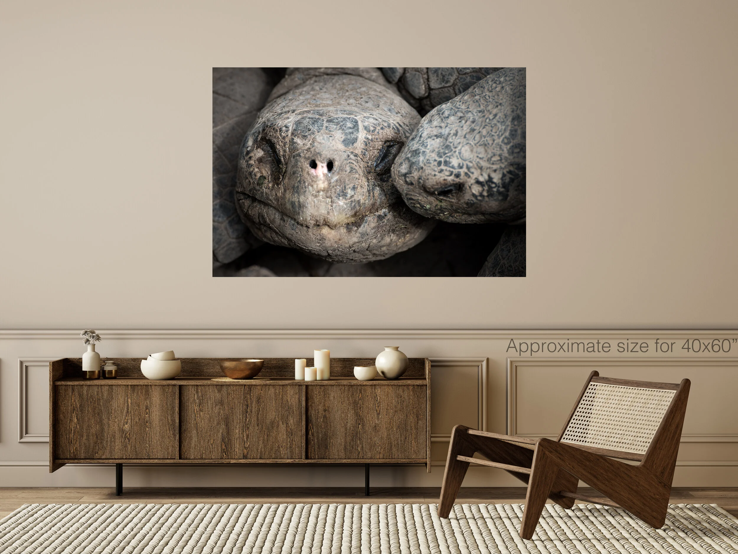 Turtles 40x60.jpg
