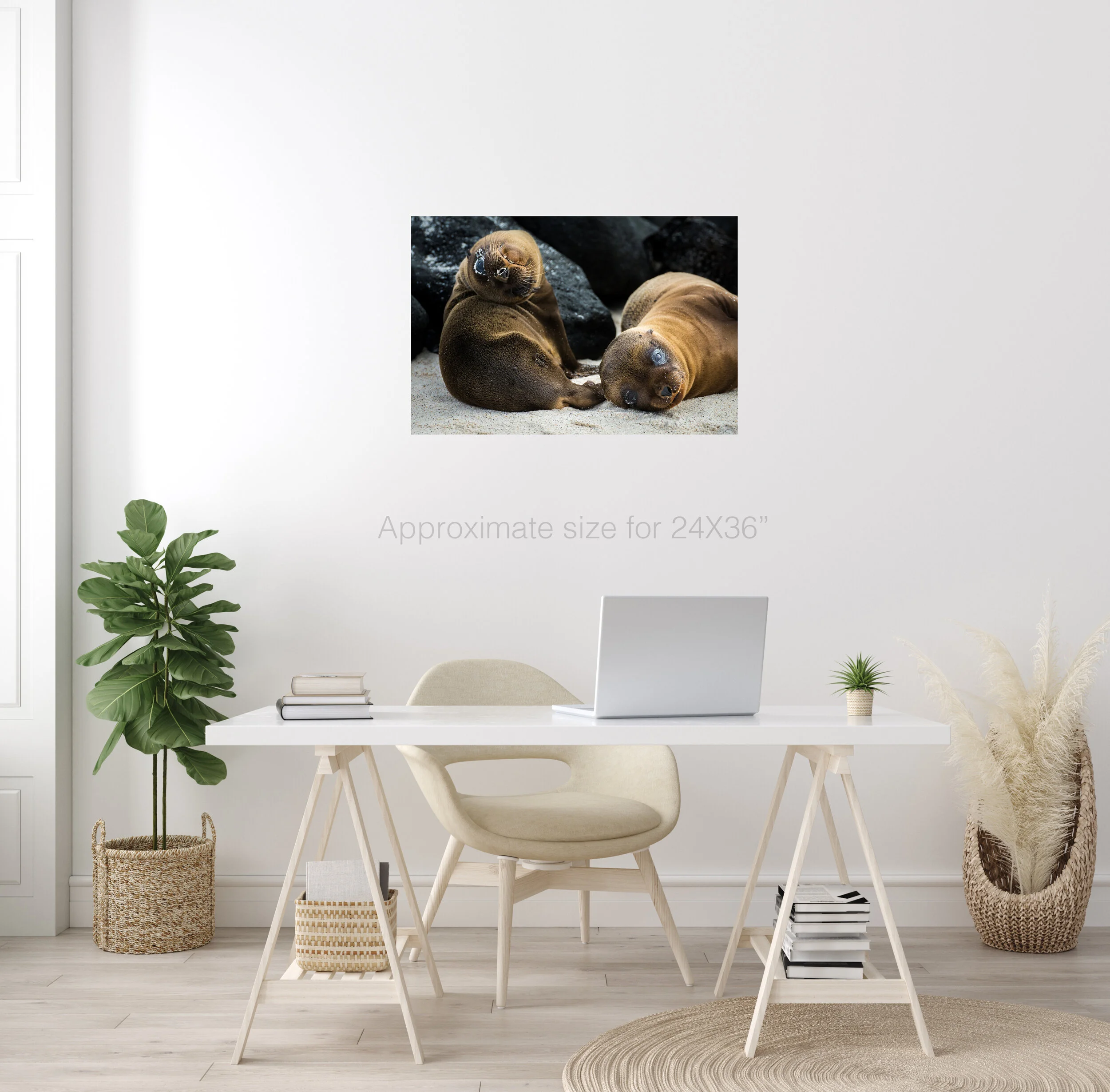 Baby seals 24x36.jpg
