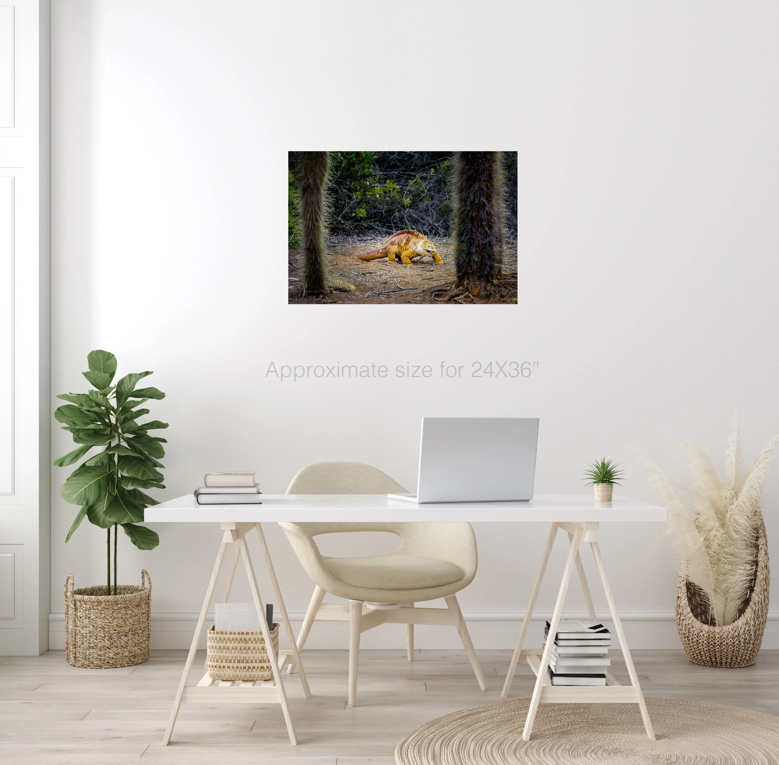 Land iguana 24x36.jpg