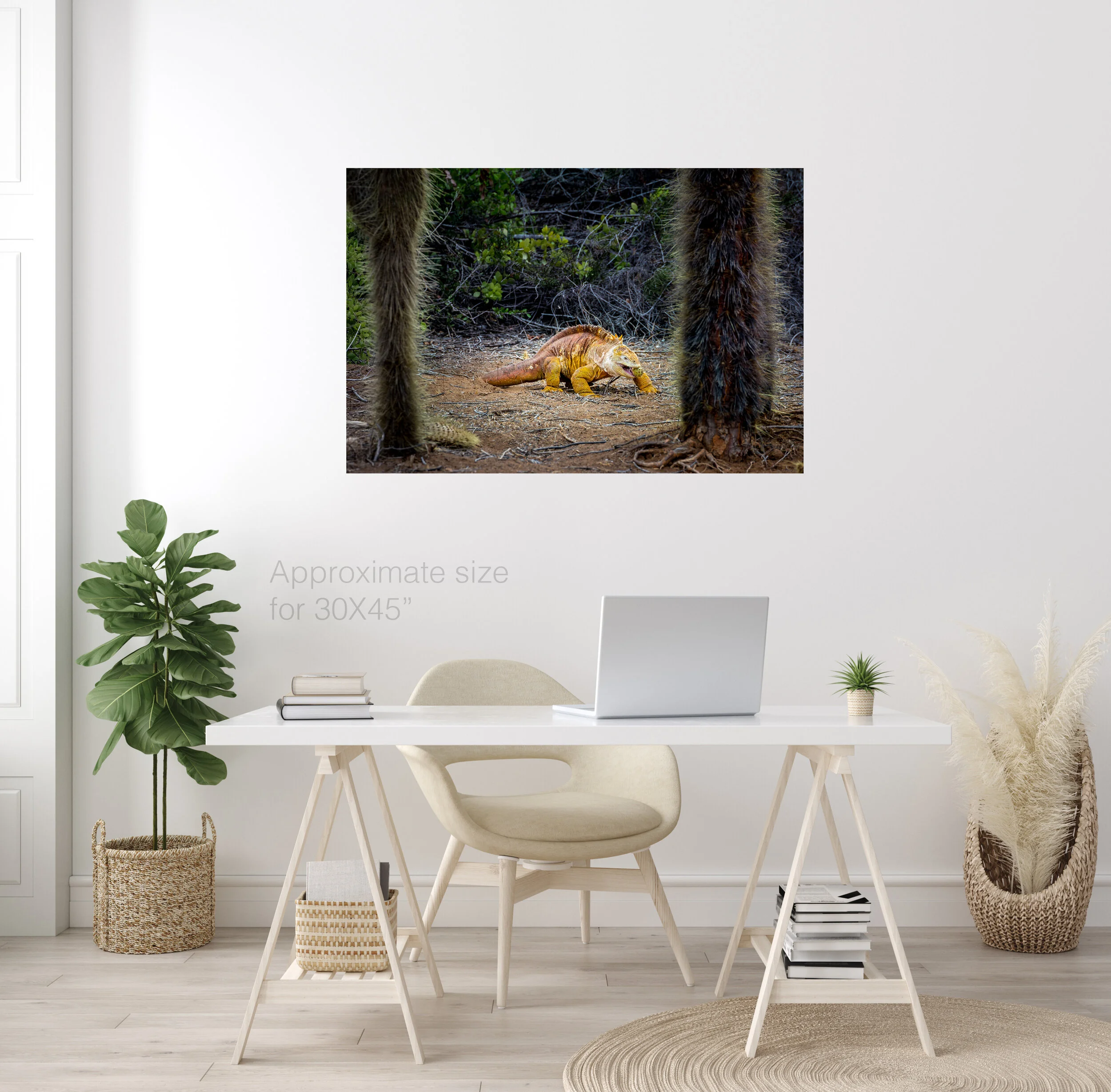 Land iguana 30x45.jpg