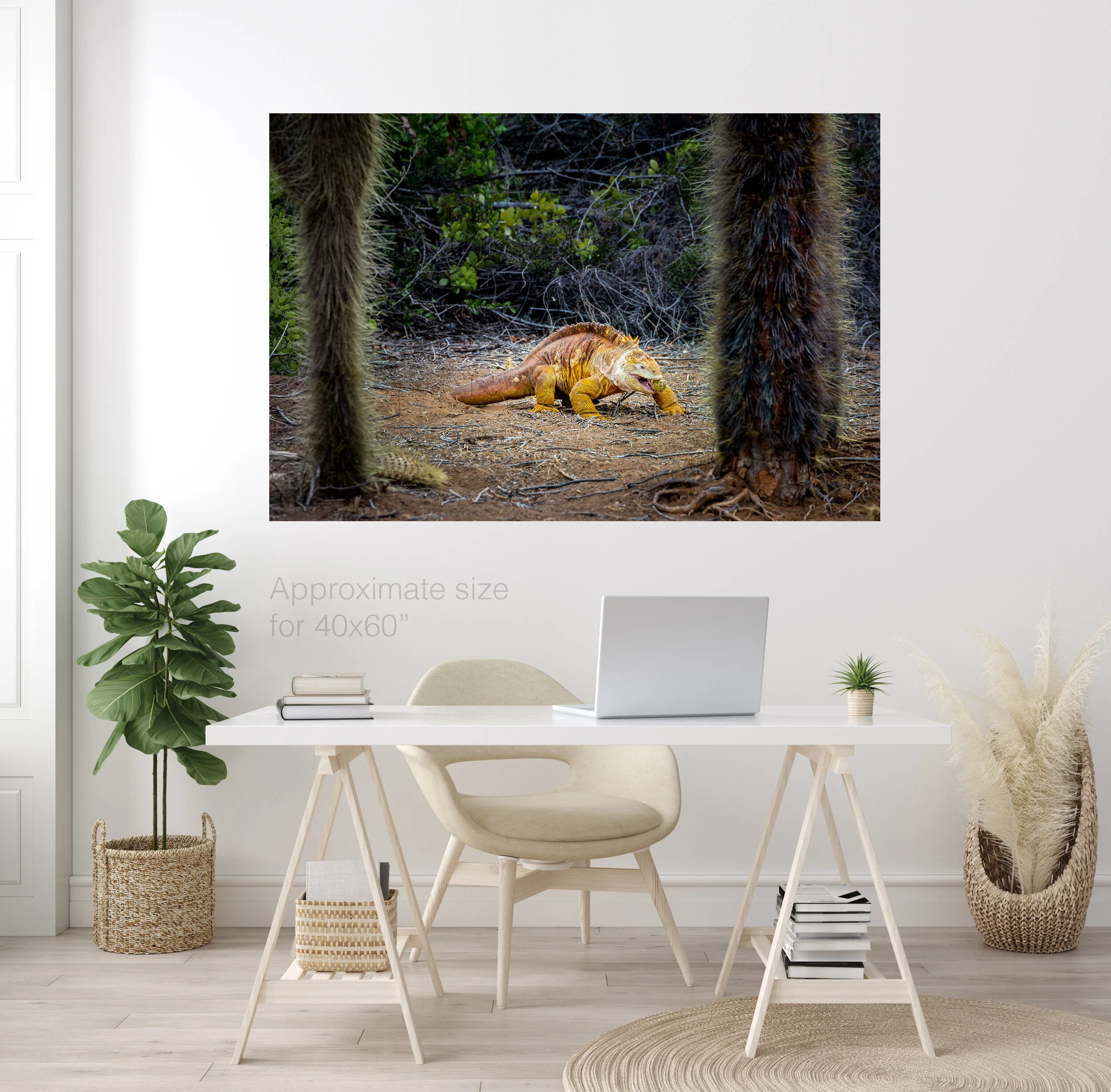 Land iguana 40x60.jpg