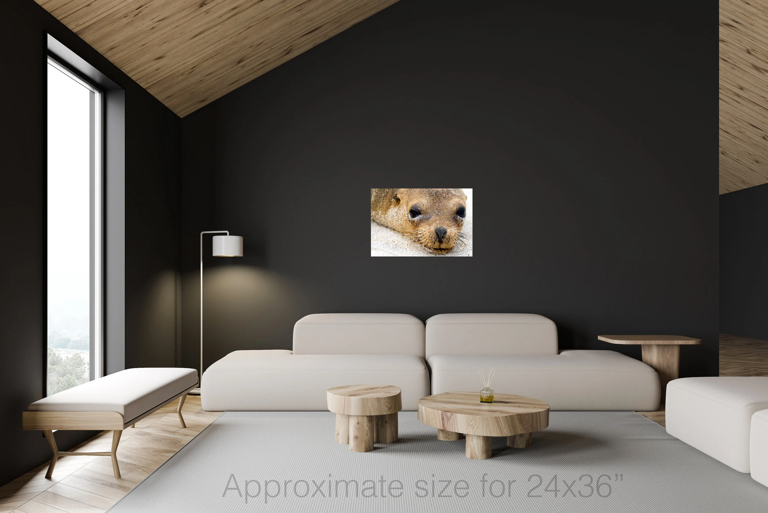 Sea lion 24x36.jpg