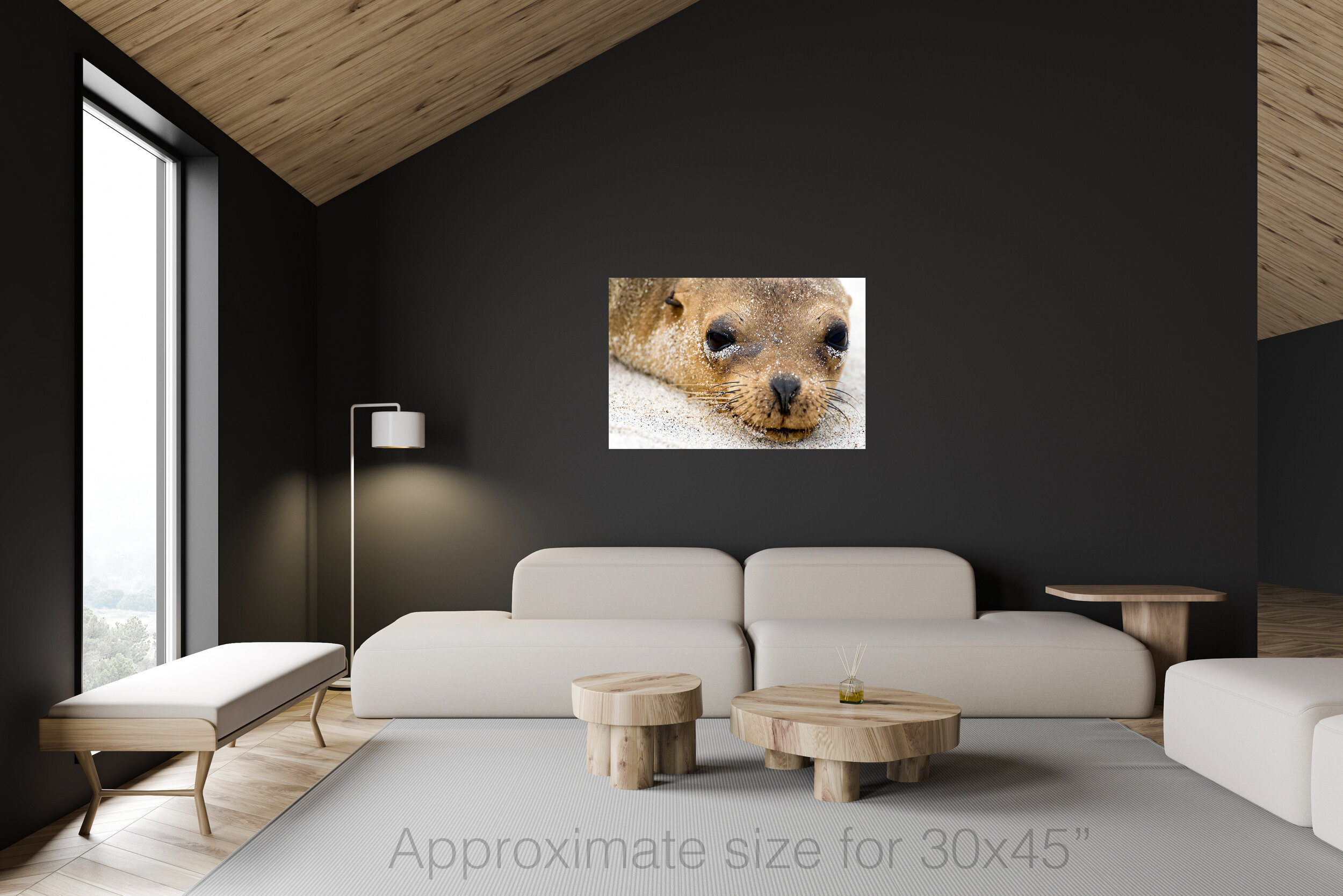 Sea lion 30x45.jpg