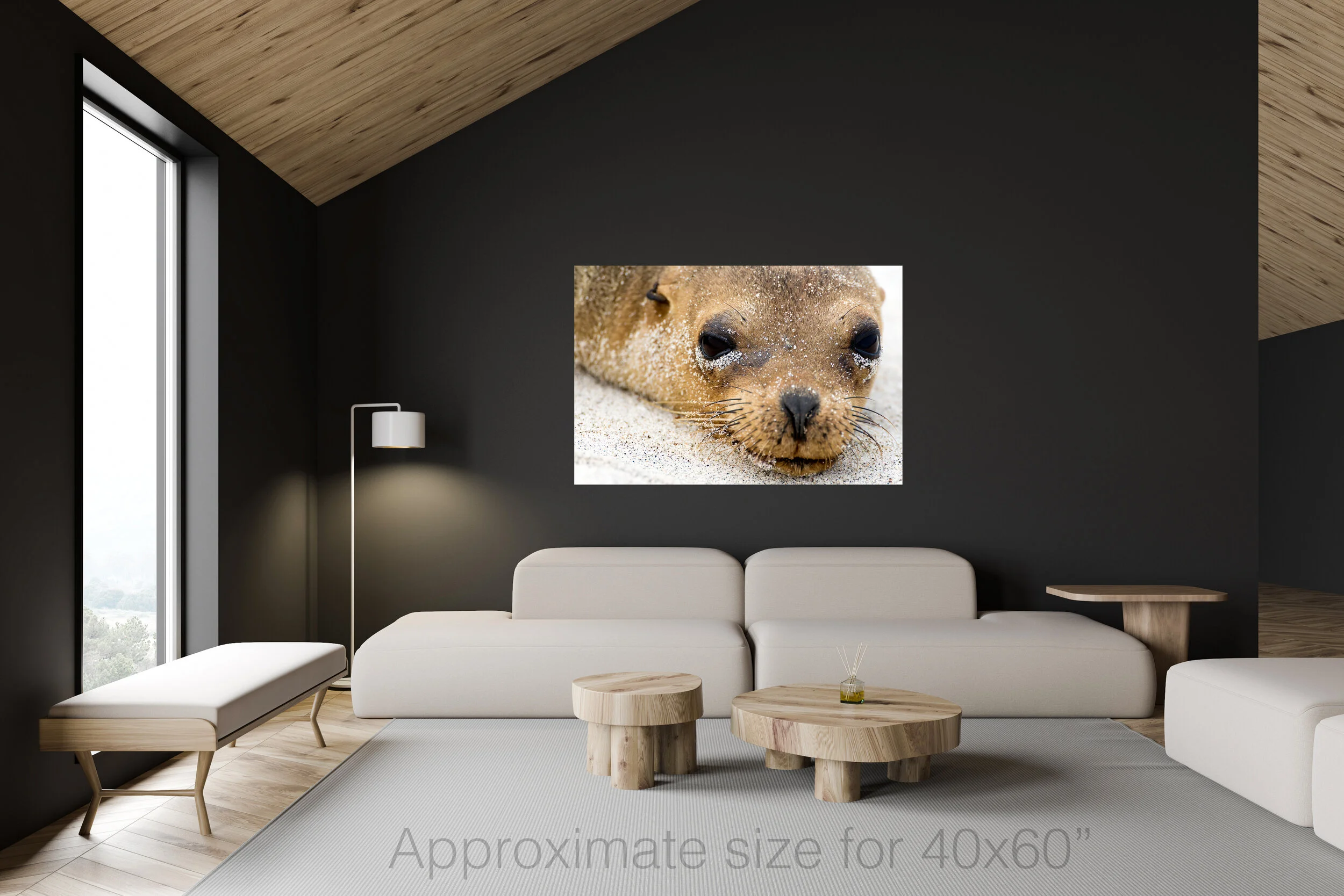 Sea lion 40x60.jpg