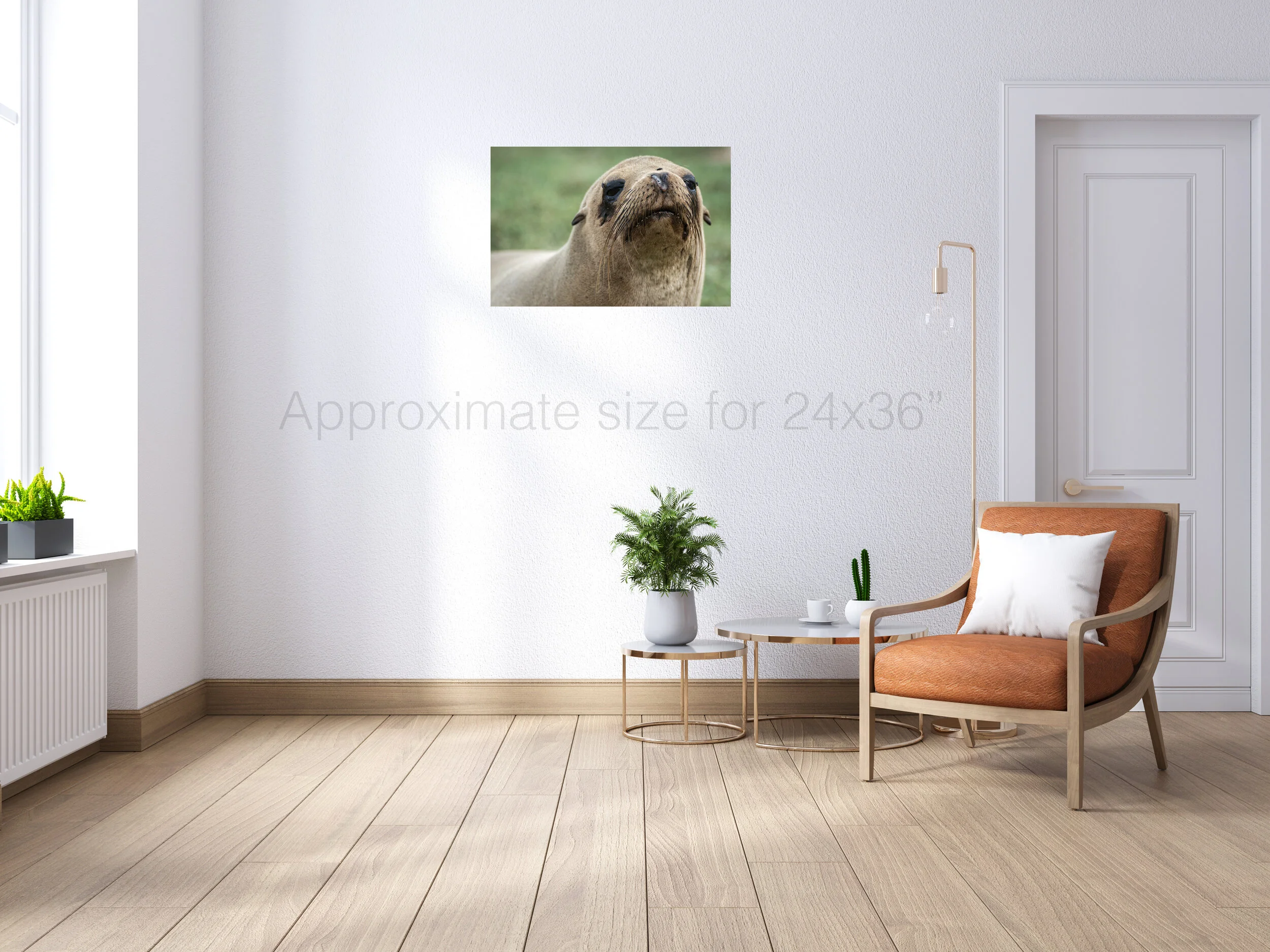 Sea lion with fly 24x36.jpg