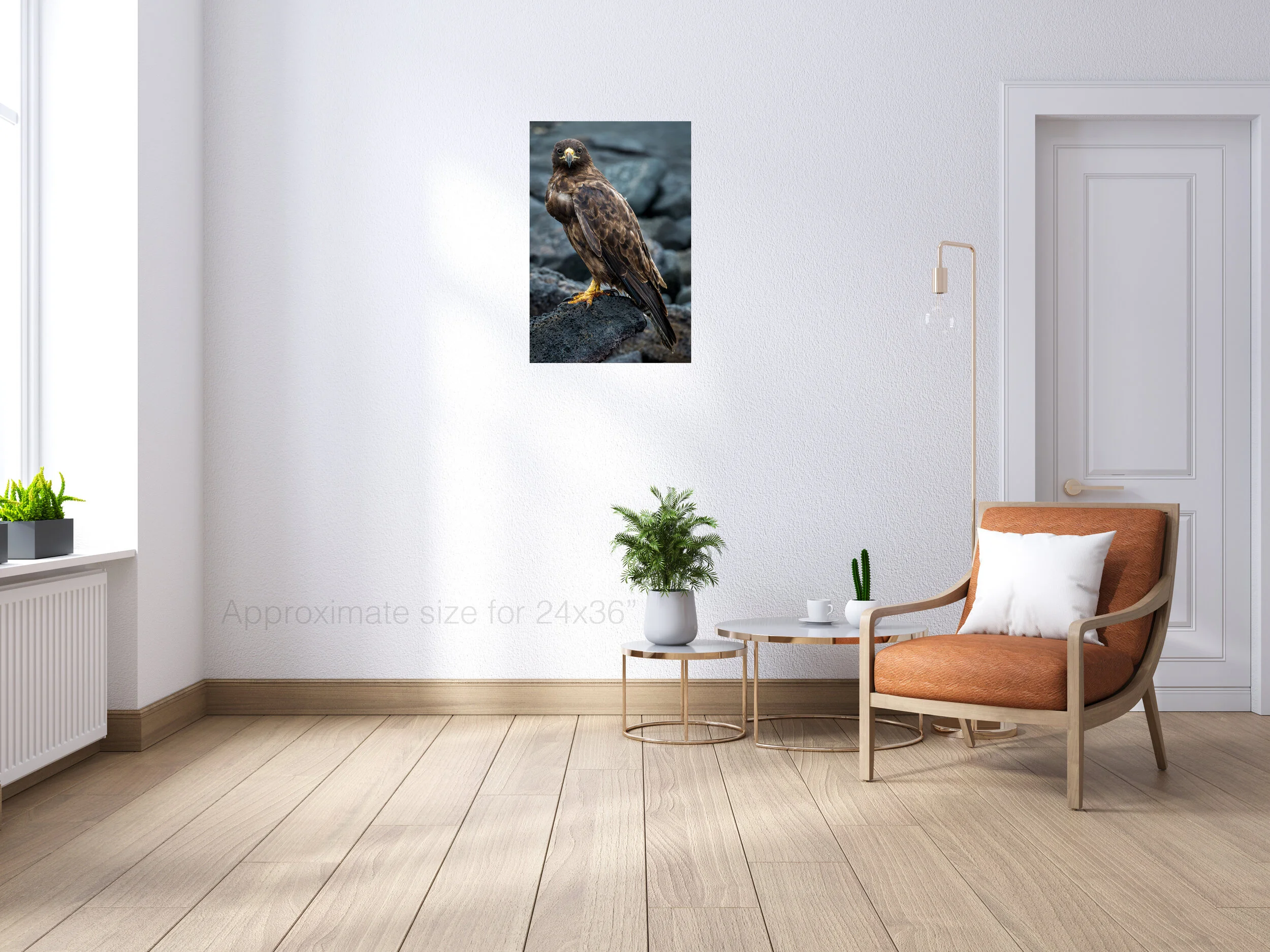 Eagle 24x36.jpg