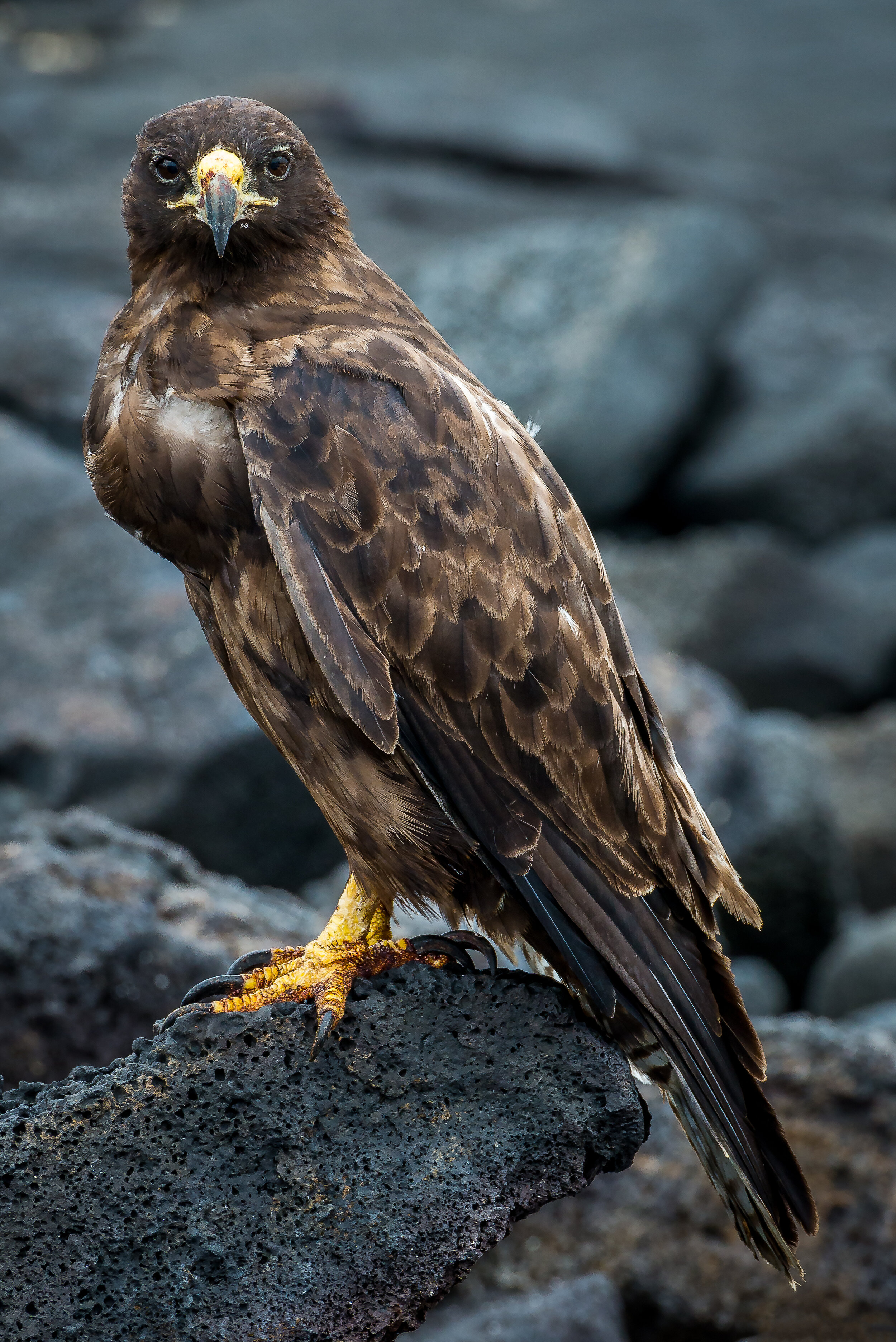 _DSC4773-Edit-2-Edit.jpg