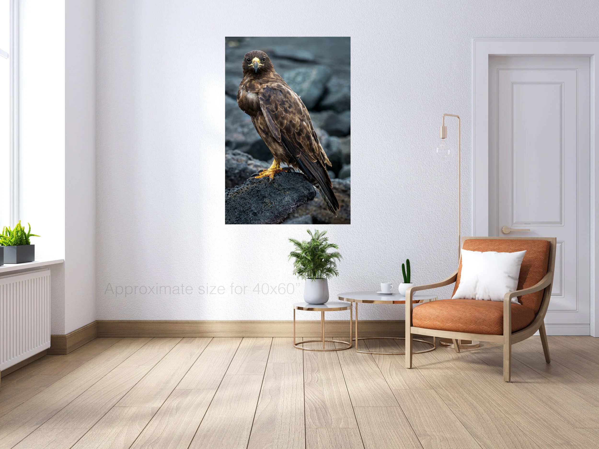 Eagle 40x60.jpg