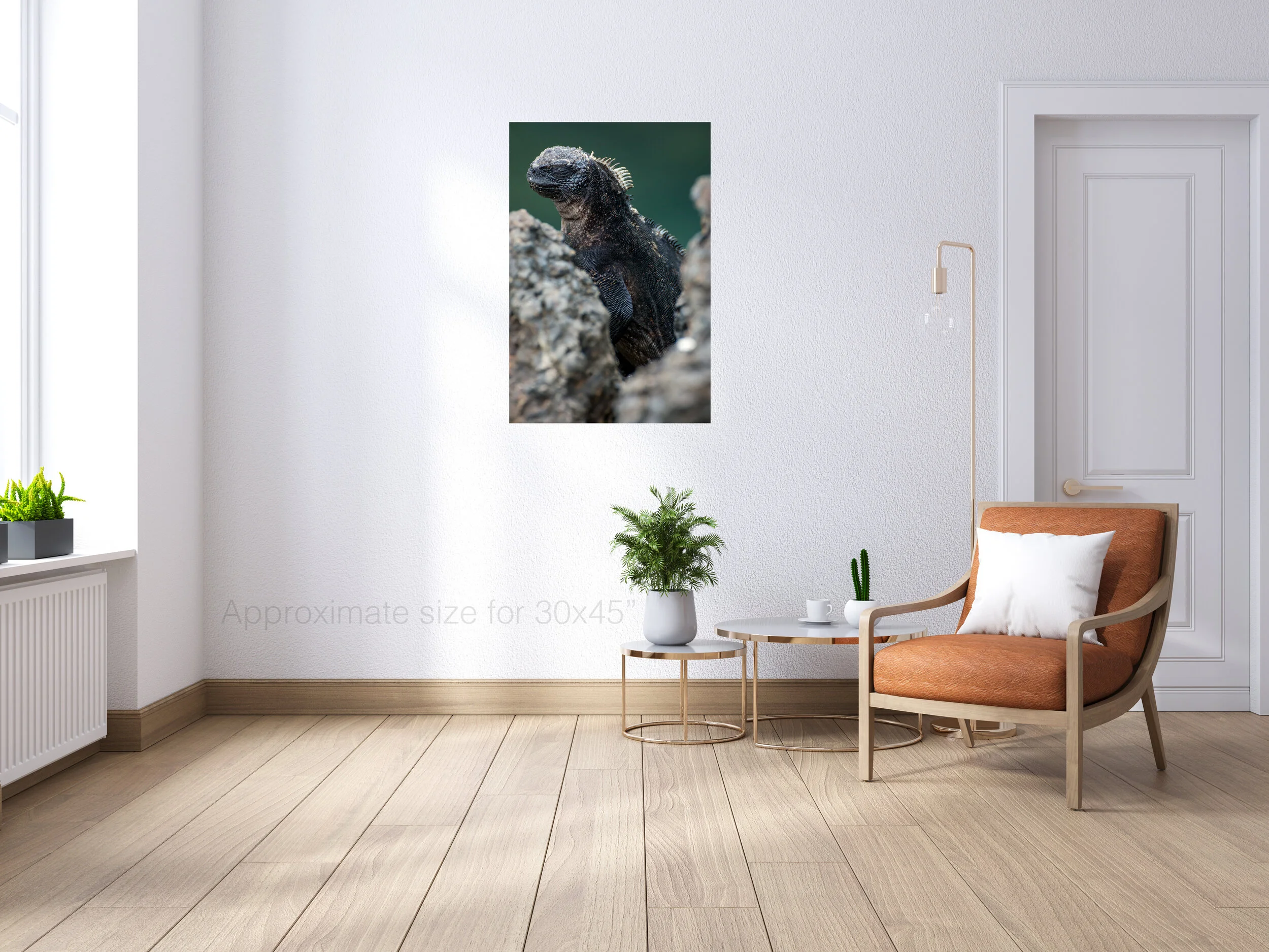 Marine iguana 30x45.jpg